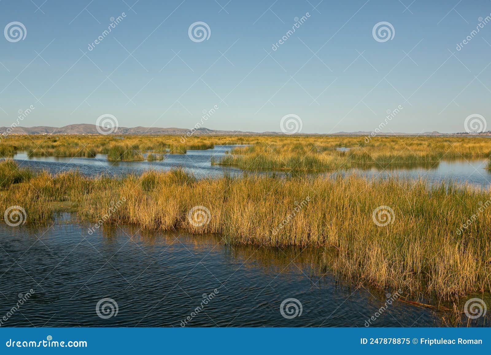 Lake Titicaca is the Largest Lake in South America and the Highest