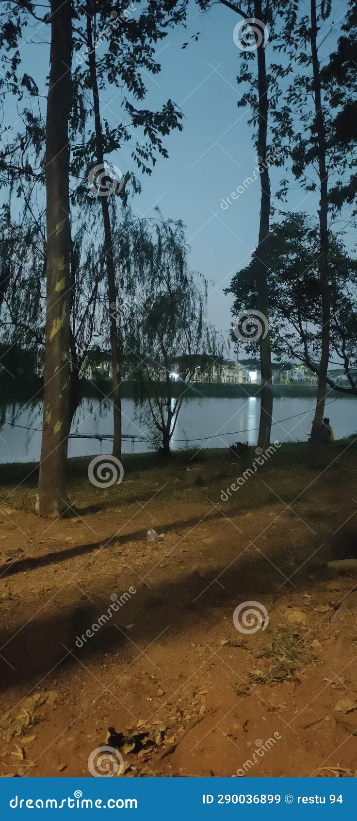 Lake tree stock image. Image of jakarta, winter, indonesia 290036899