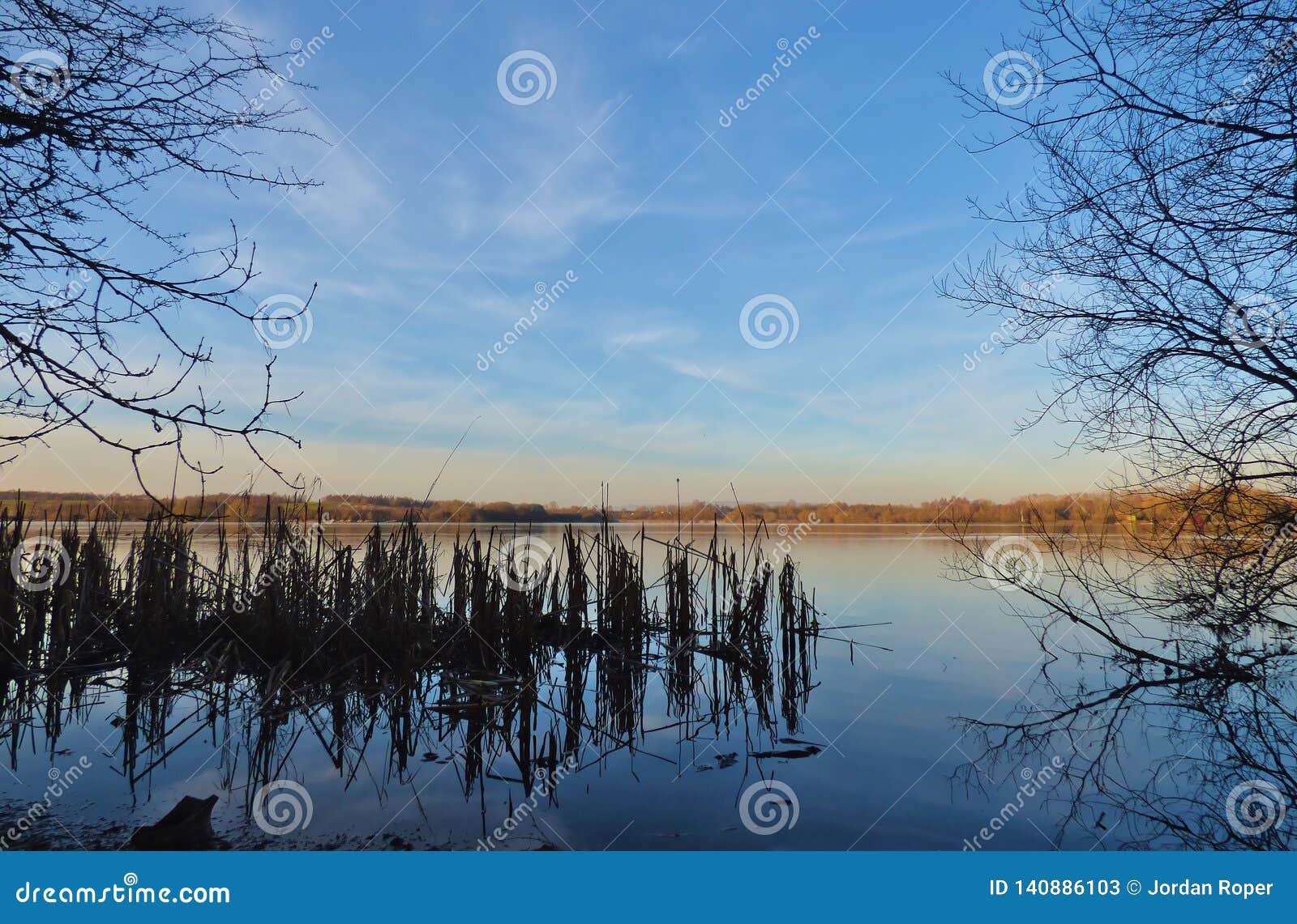 lake with trees both sides