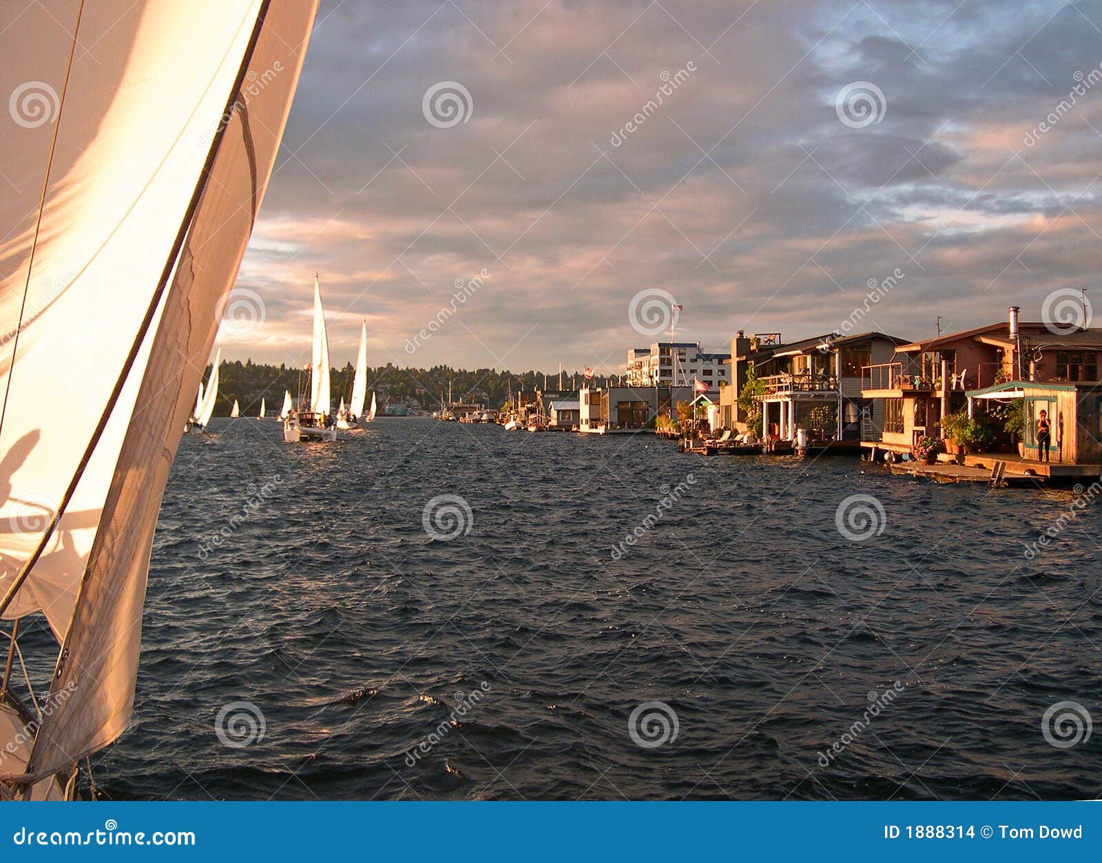 Lake Union House Boats stock photo. Image of sailing, waterfront 1888314