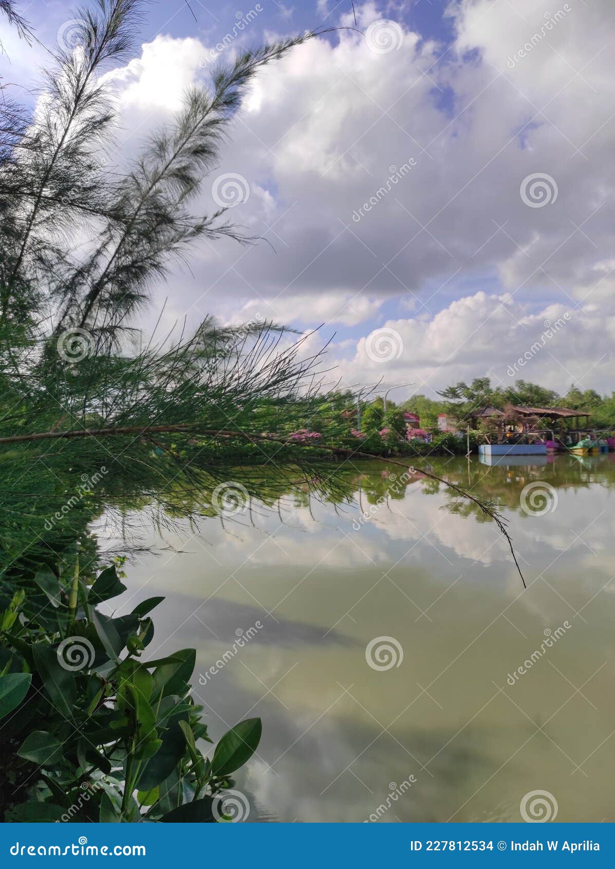 A Lake View with Lots of Trees Growing Around in a Sunny Day. Stock