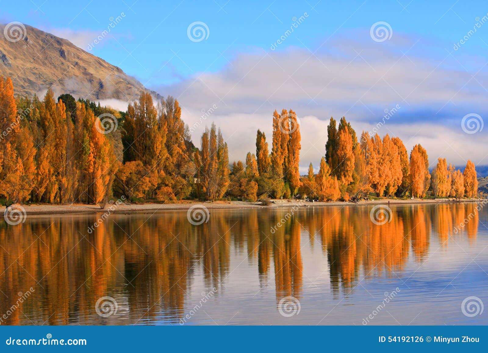 lake wanaka,south island new zealand.