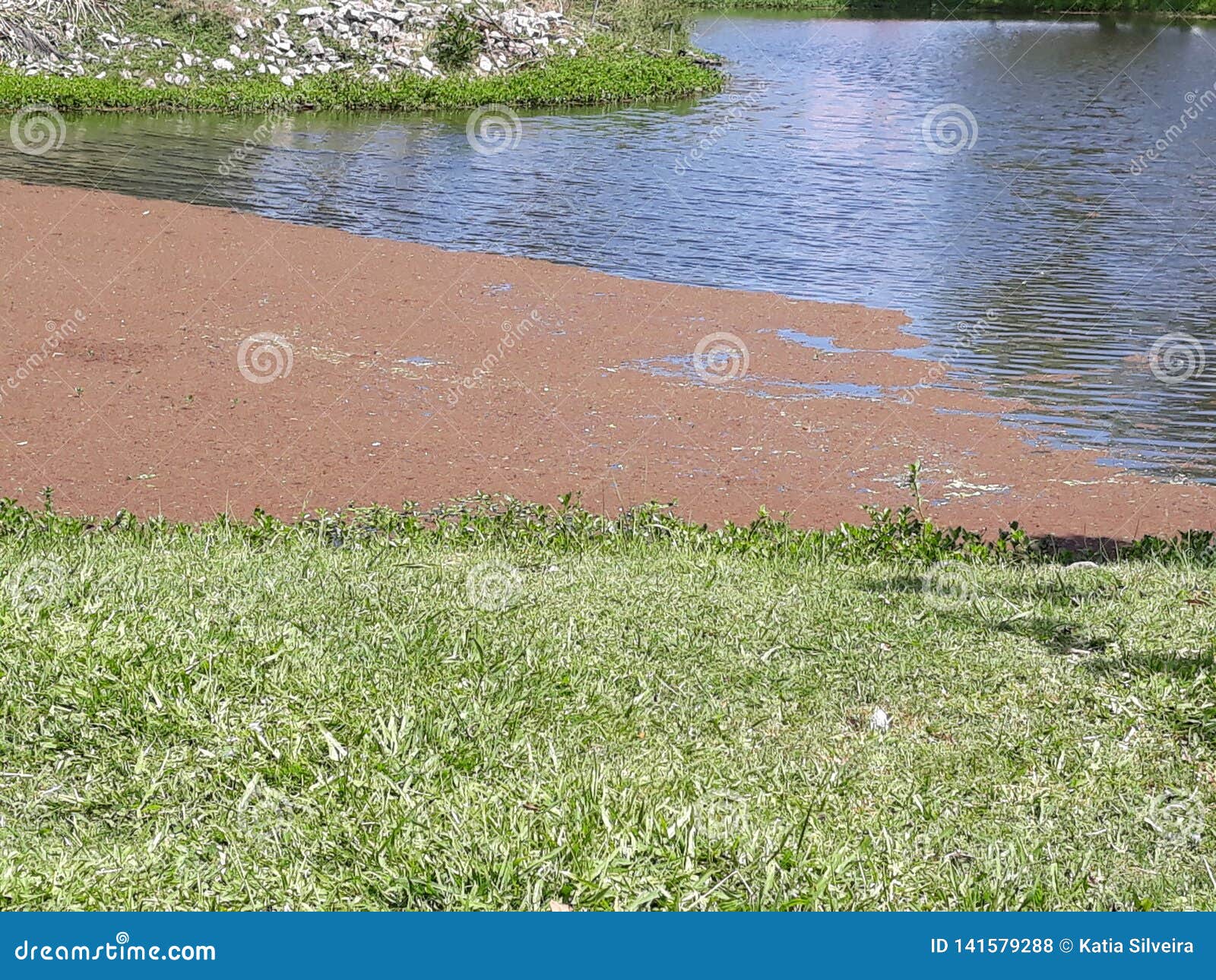 Lake that Was with Blue Water Turned Brown Stock Photo Image of lake