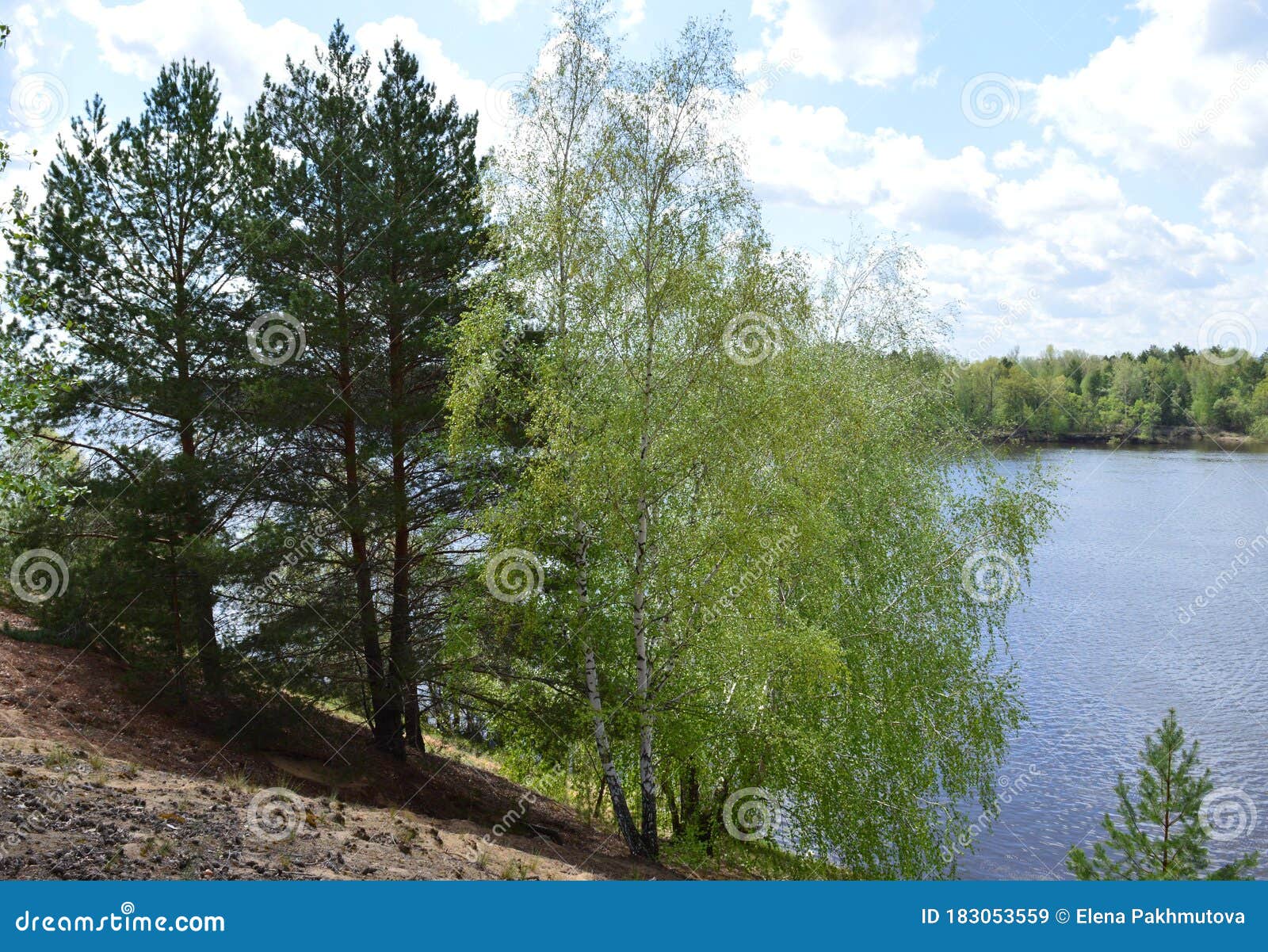 Lake Water Landscape Sky Nature Forest River Reflection Tree