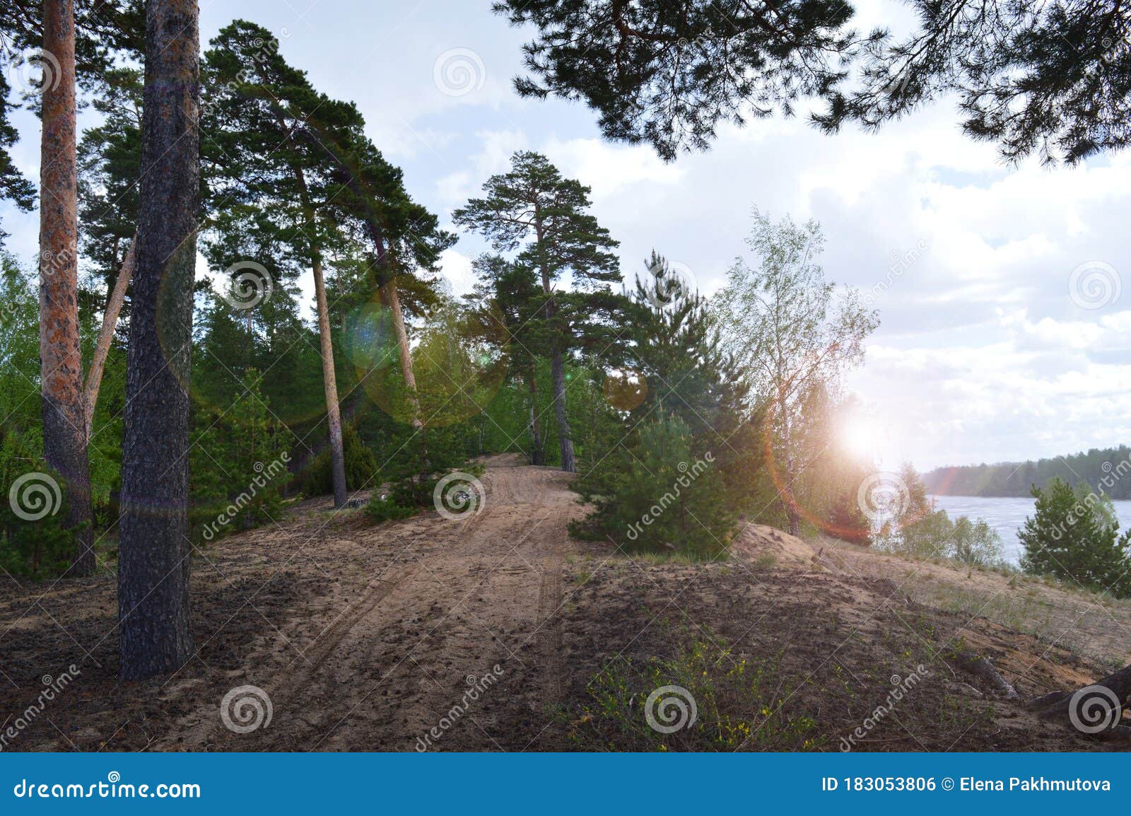 Lake Water Landscape Sky Nature Forest River Reflection Tree