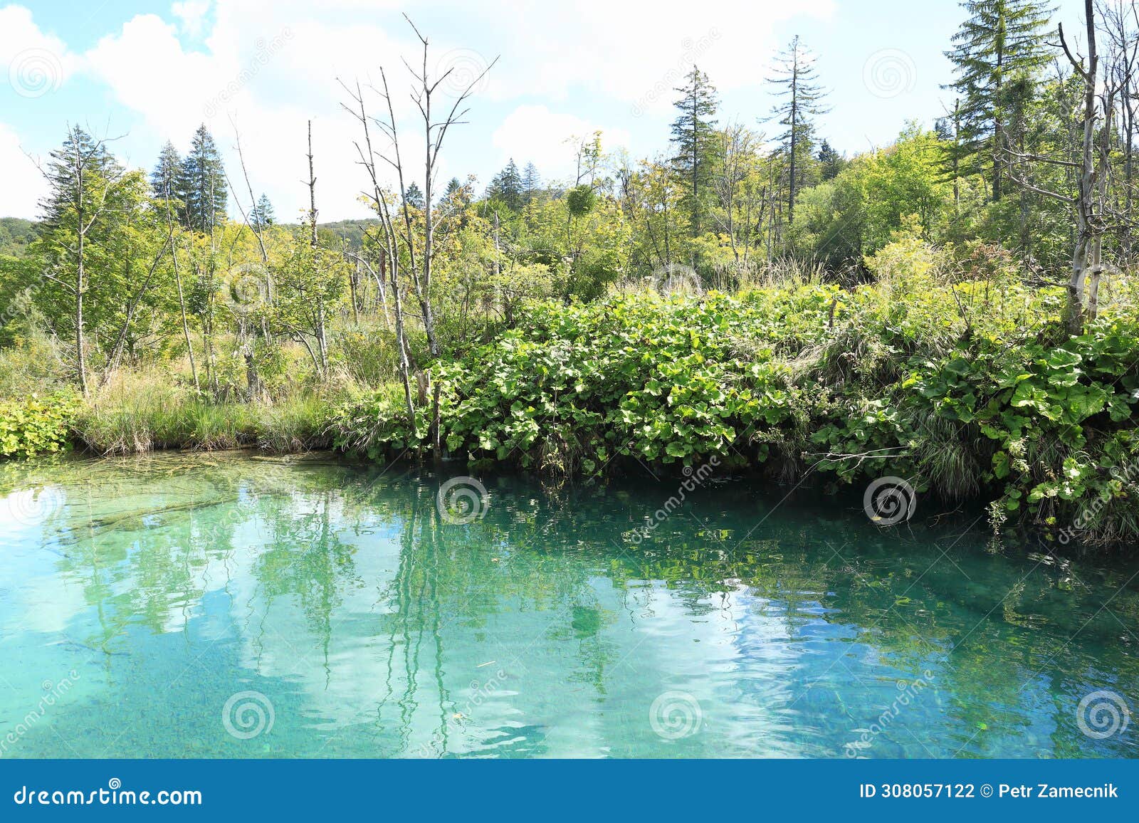lake and wetlands on plitvicka jezera in croatia