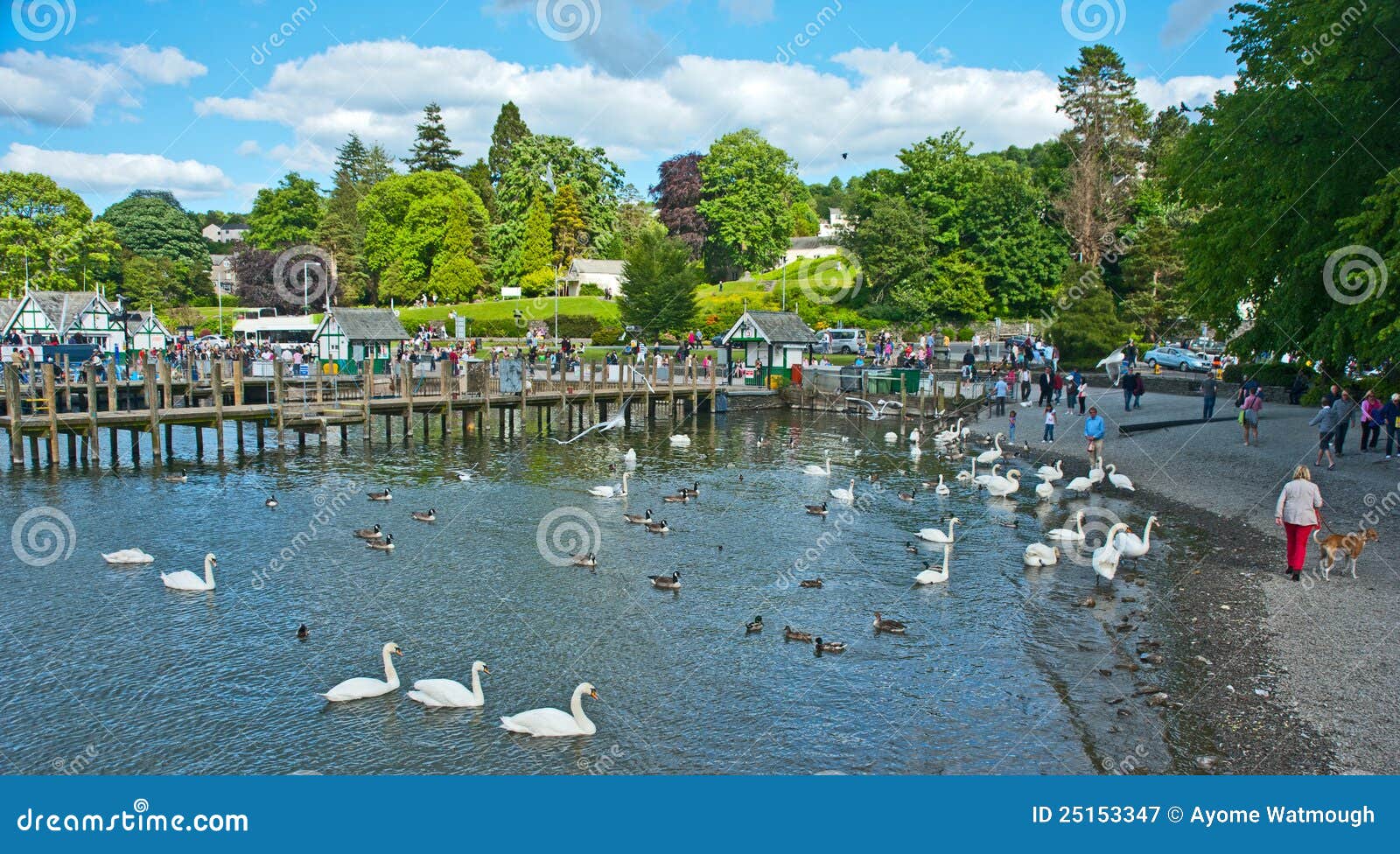 Lake Windermere National Park Editorial Photography Image of