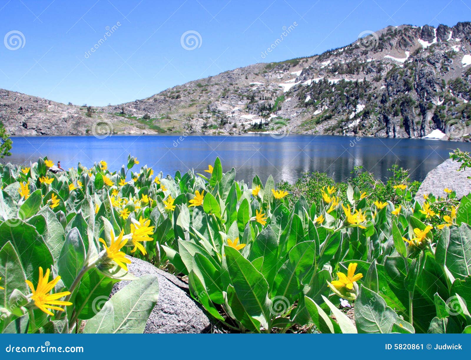 Lake Winnemucca stock image. Image of winnemucca, beauty 5820861