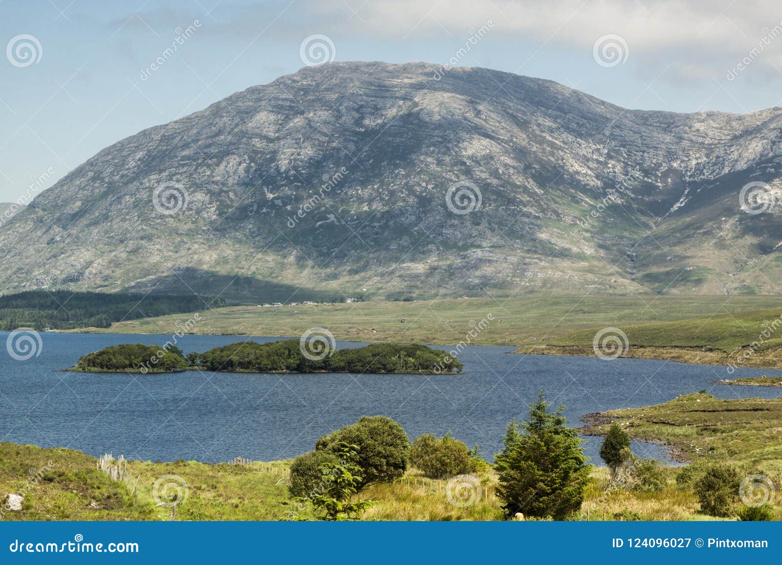 Lakes and Trees in Connemara National Park. Ireland, Europe. Stock ...