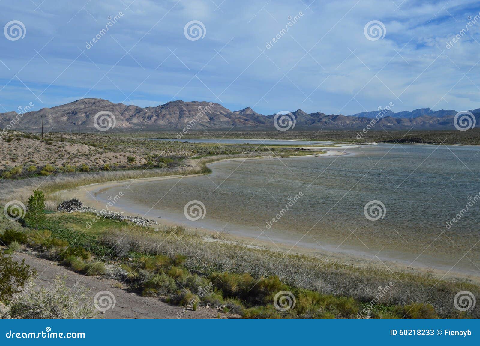 Lakeshore. Воды озера складывают берег, с горами на заднем плане