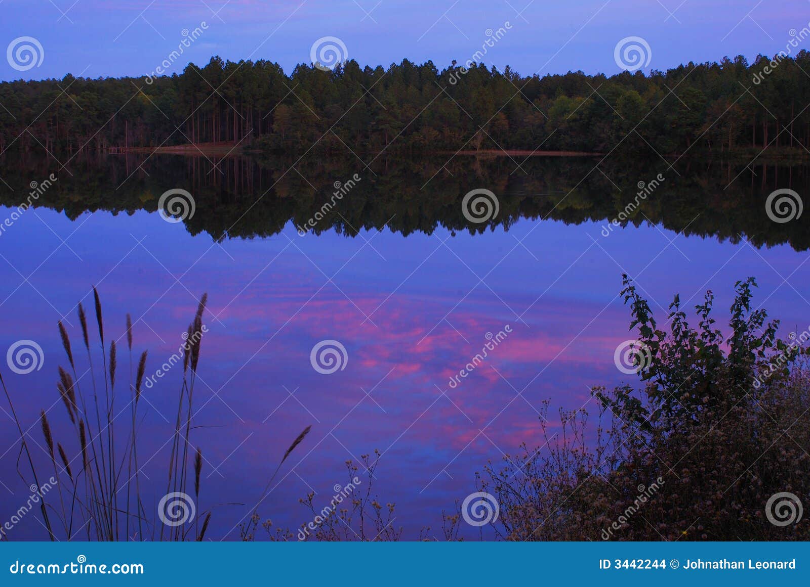lakeside at dusk