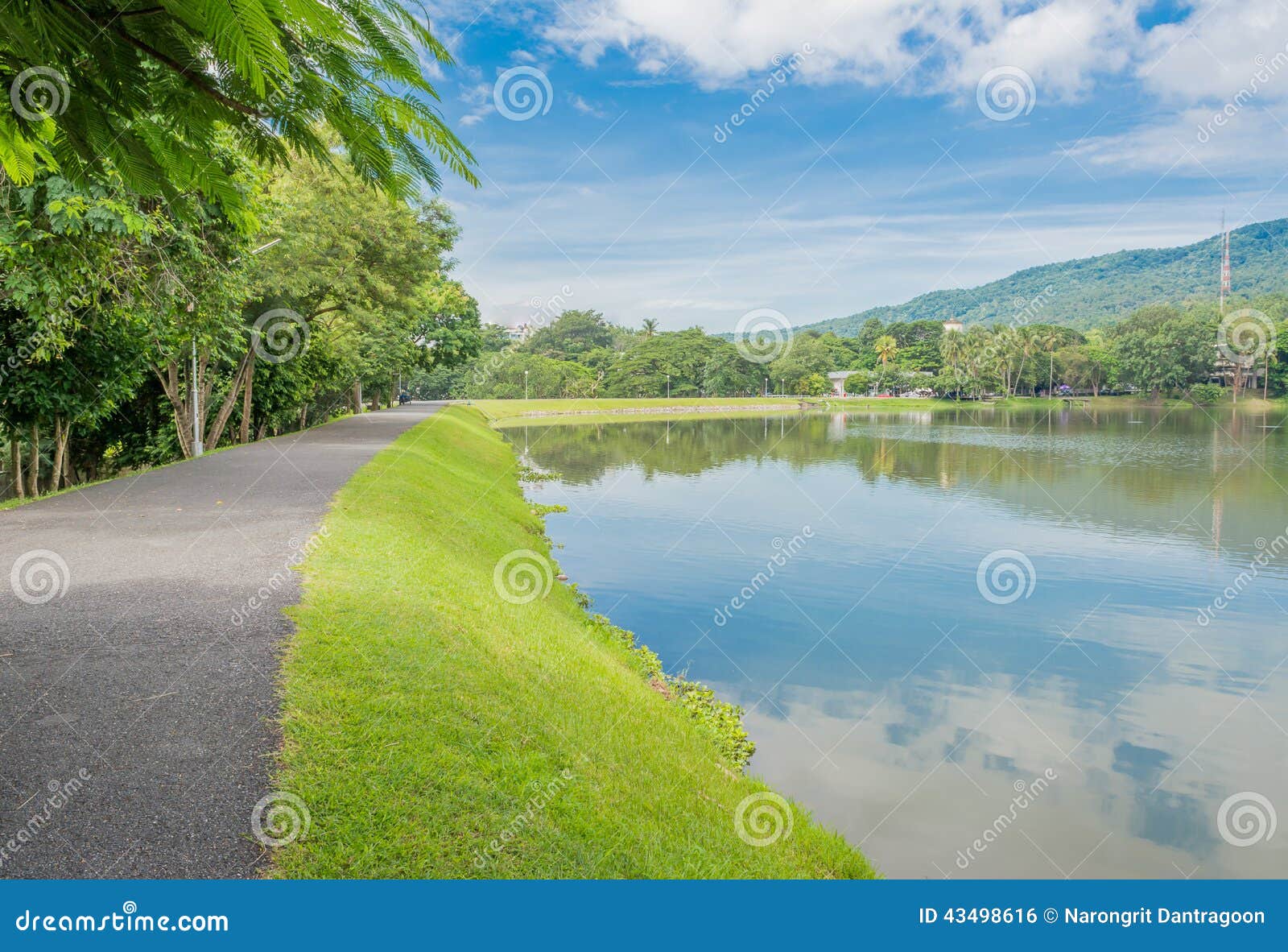 Lakeside Road Made with Asphalt Stock Photo Image of lakeside, coast