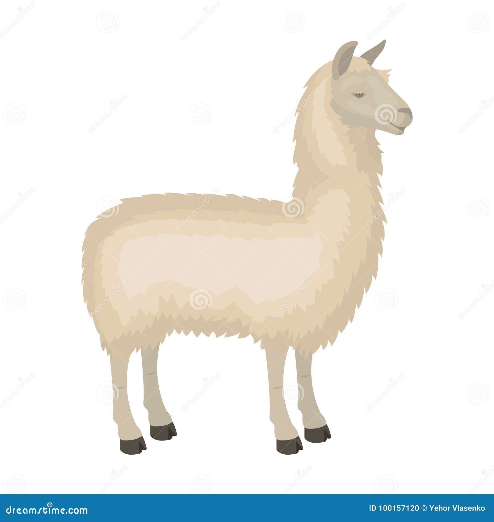 Lama, a South American Pack Animal. a Lame, a Cloven-hoofed Mammal Single  Icon in Cartoon Style Vector Symbol Stock Stock Vector - Illustration of  cartoon, fauna: 100157120