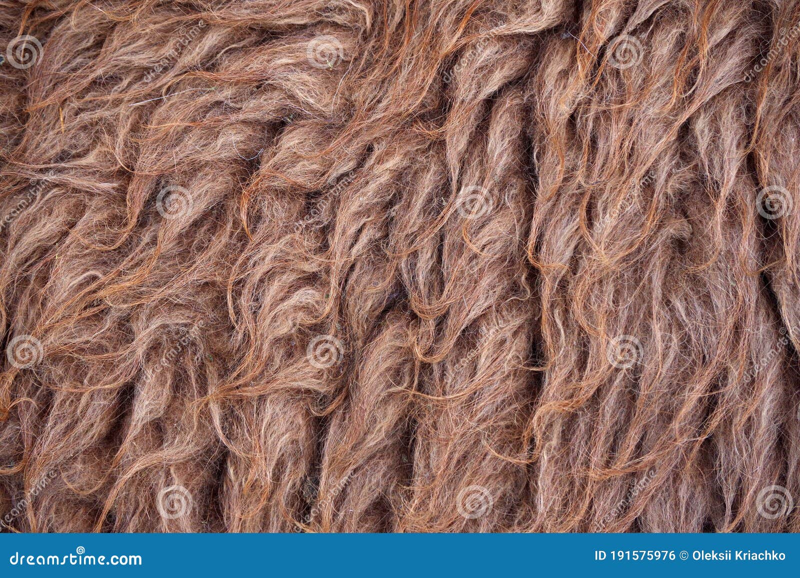 Revolutionair zwak Ansichtkaart Lama Wol Textuurachtergrond. Alpaca Wol. Natuurlijke Bruine Achtergrond  Stock Foto - Image of haar, nave: 191575976