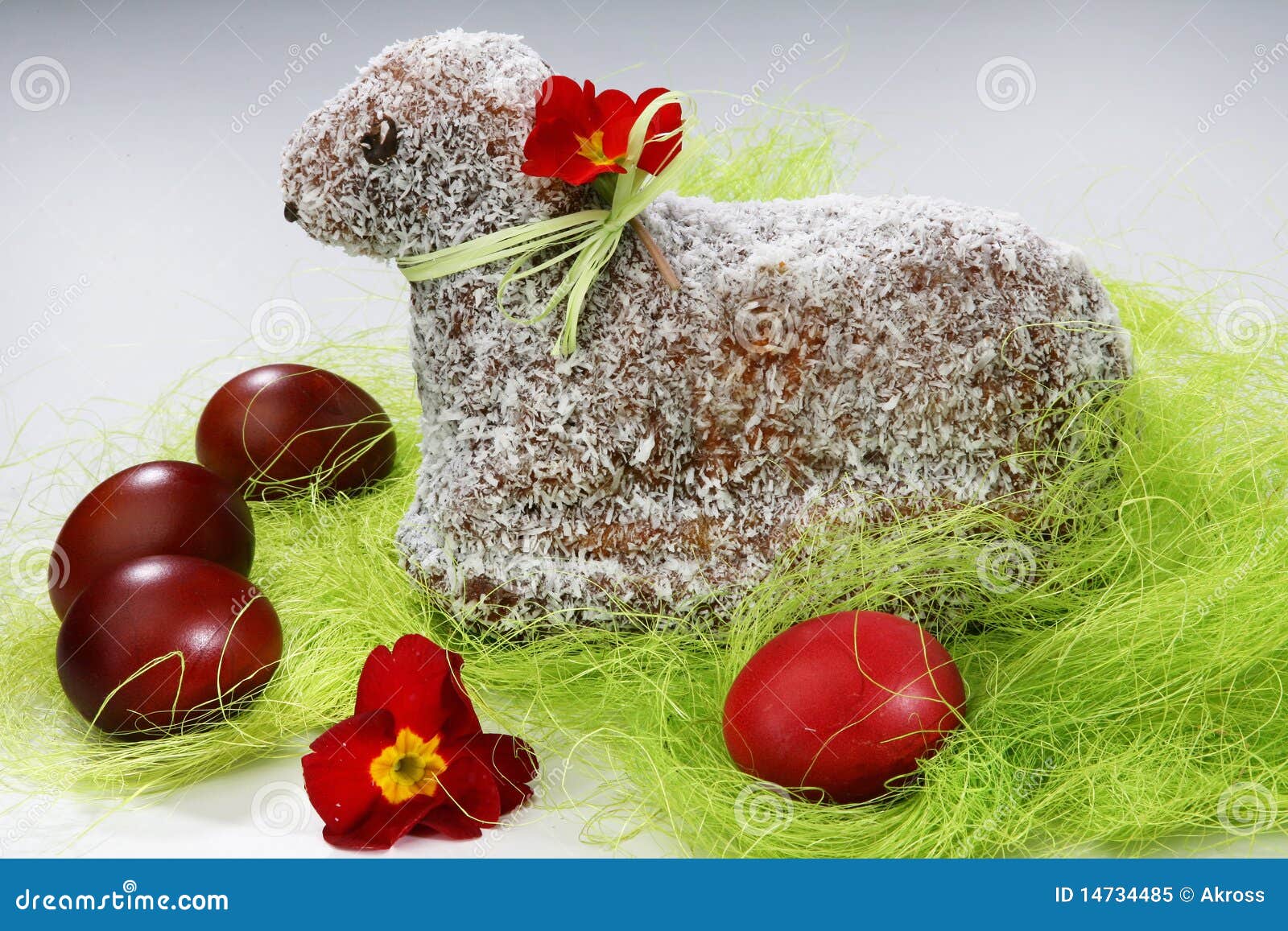 Lamb coconut cake stock image. Image of cocoa, chocolate 14734485