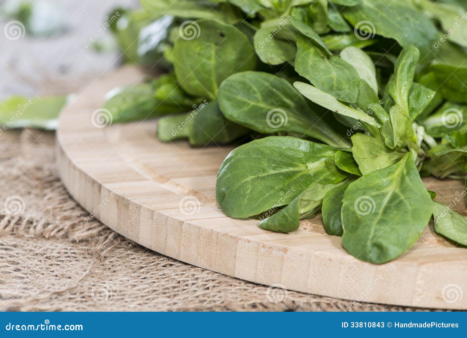 Lamb s Lettuce stock image. Image of meal, diet, mache 33810843