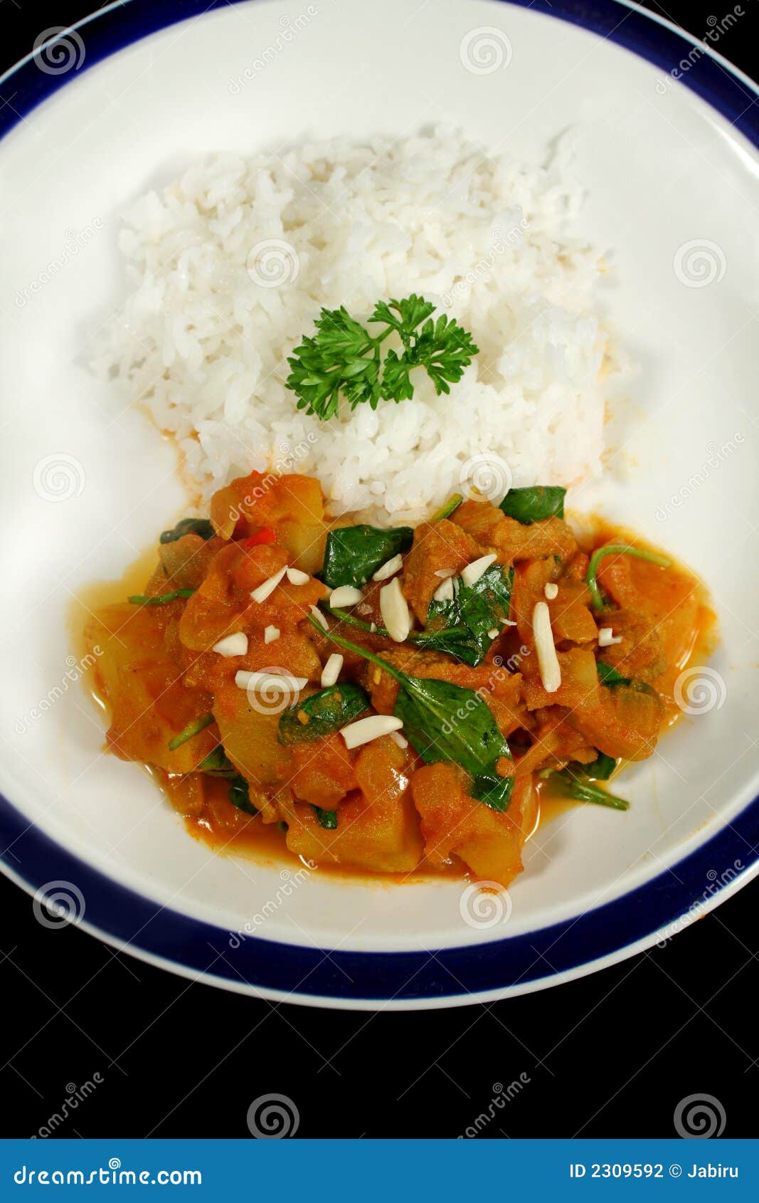 Lamb and Tomato Curry 1 stock photo. Image of food, culinary 2309592