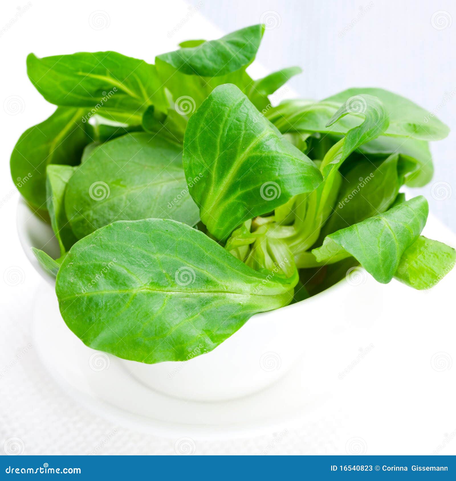 Lambs lettuce stock image. Image of closeup, salad, vitamin 16540823