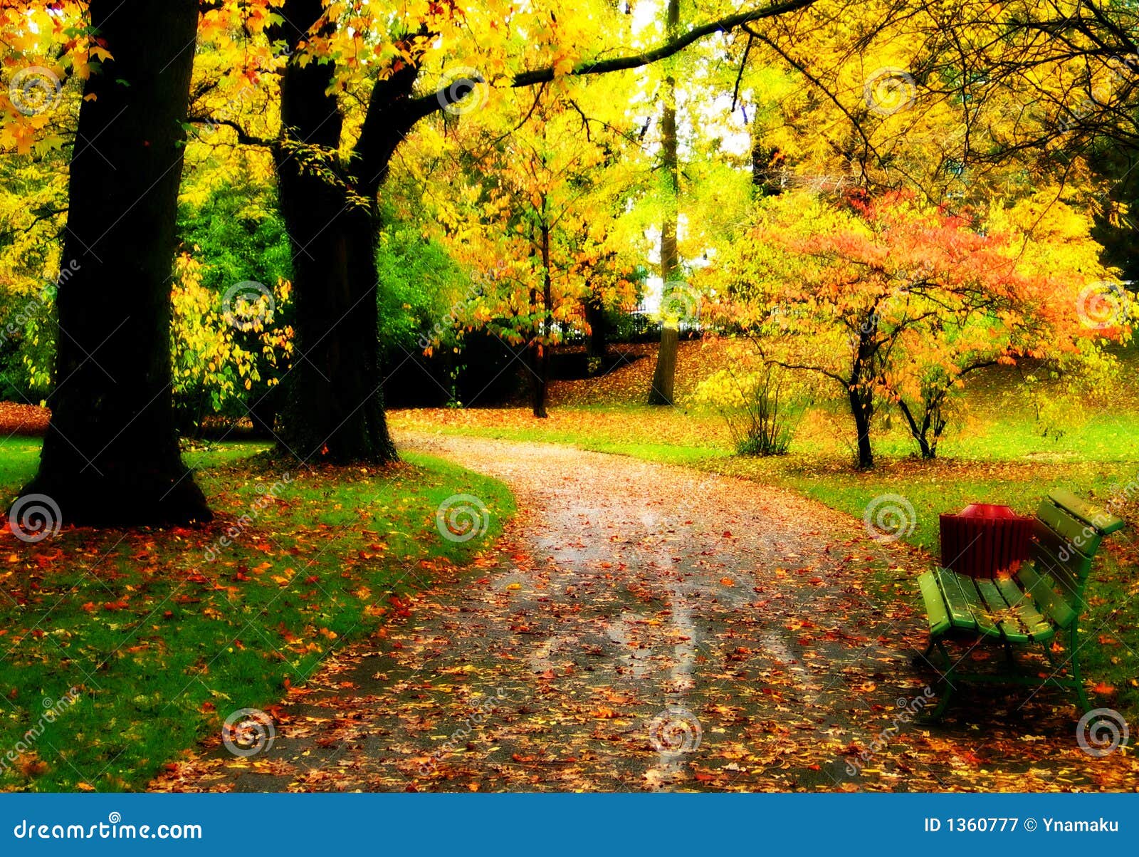 Lames d'automne. Arbres d'automne au stationnement