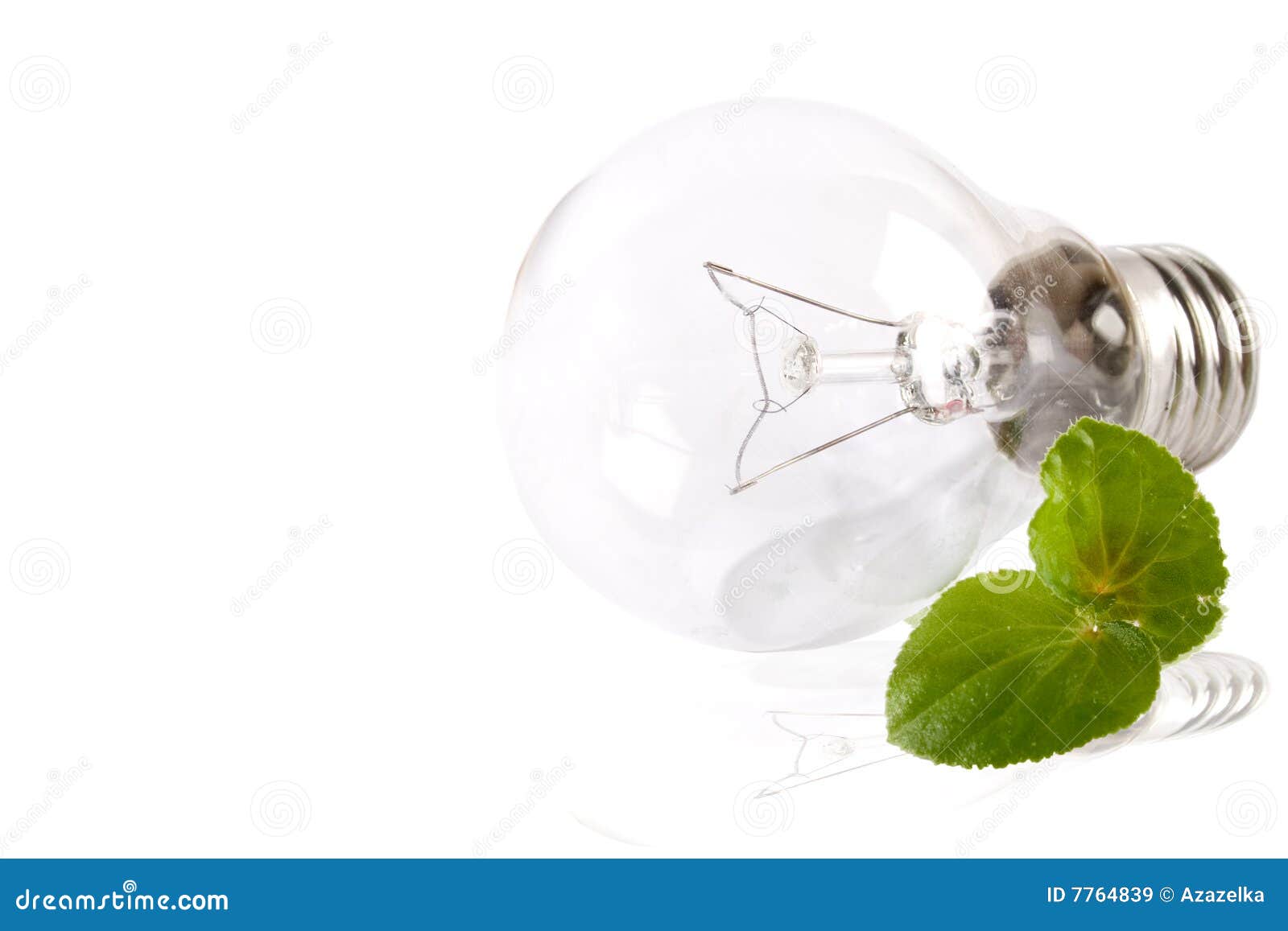 lamp environment lamp environment
