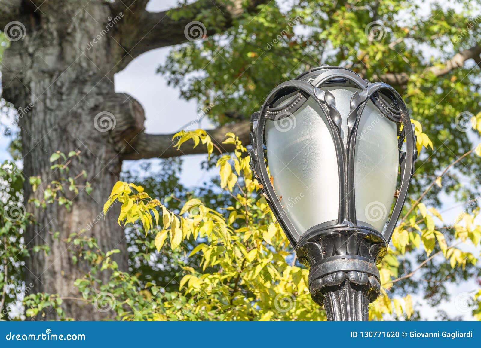Lamp post in Central Park stock photo. Image of autumn 130771620