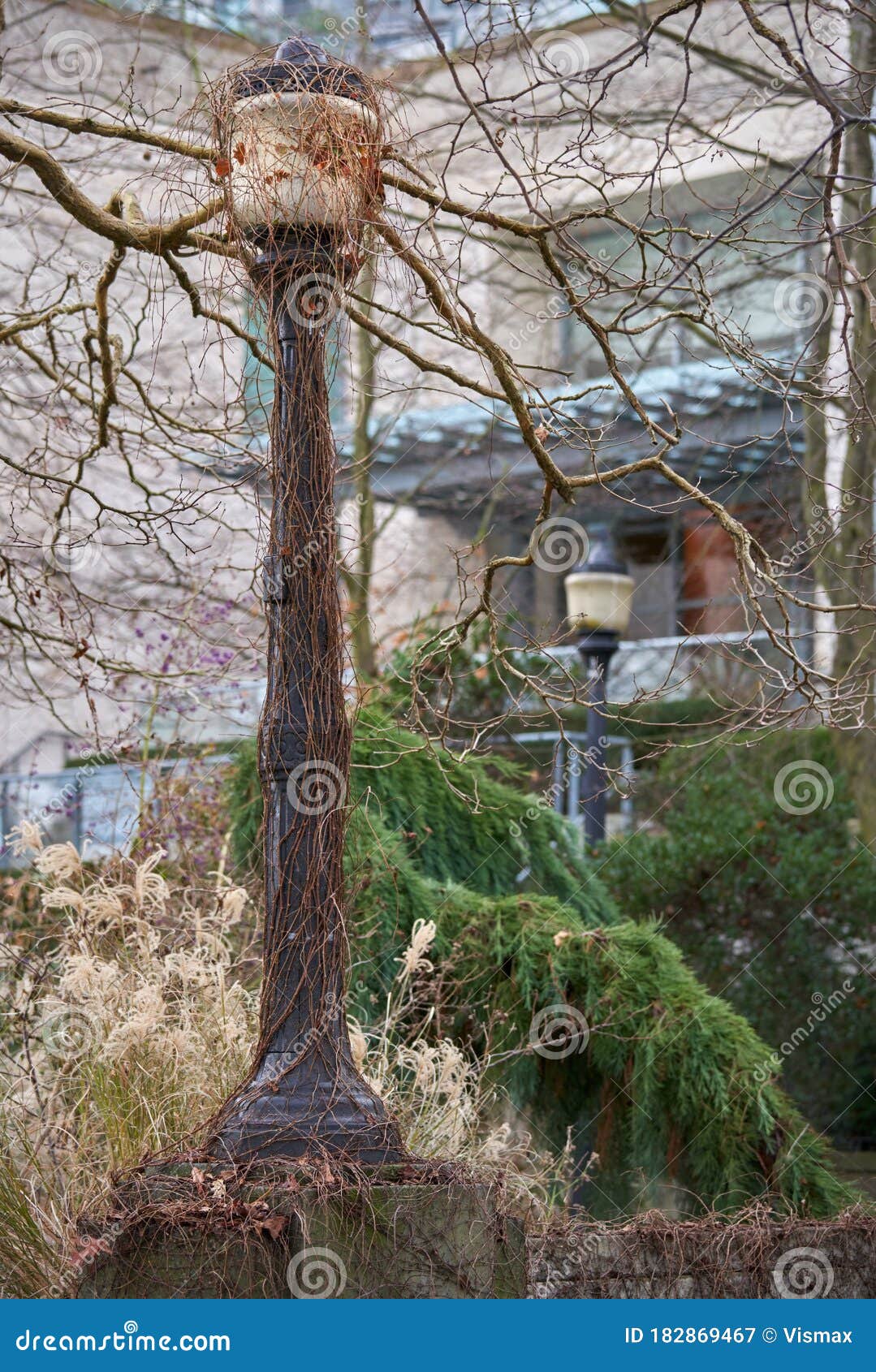 Lamp Post and Vines stock image. Image of courtyard 182869467