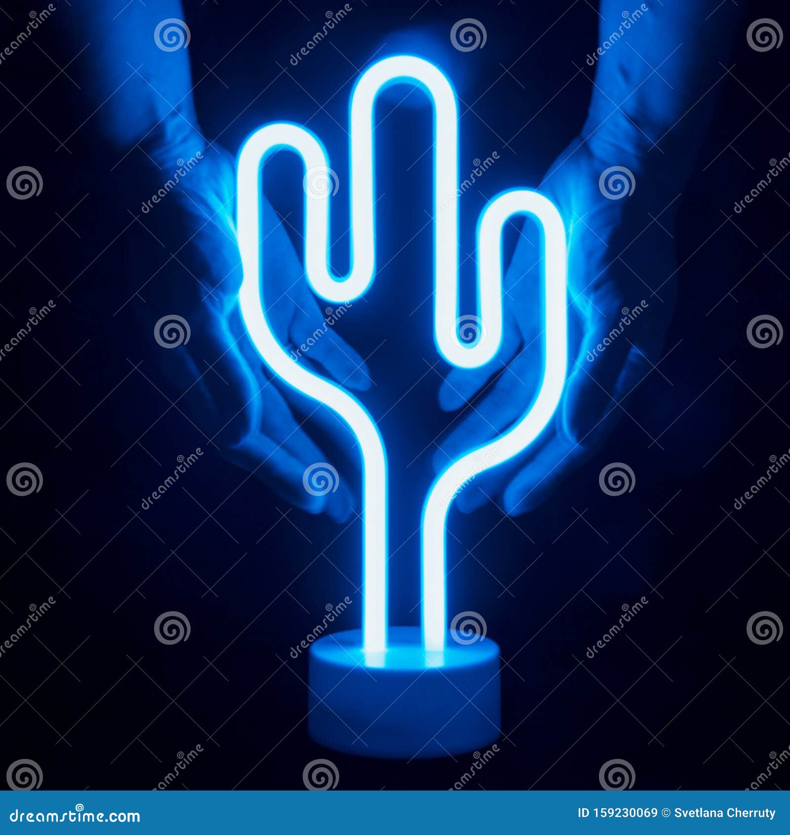 Lampada a LED Al Cacao Blu Neon in Mani Femminili Sul Nero Immagine Stock -  Immagine di mani, fluorescente: 159230069