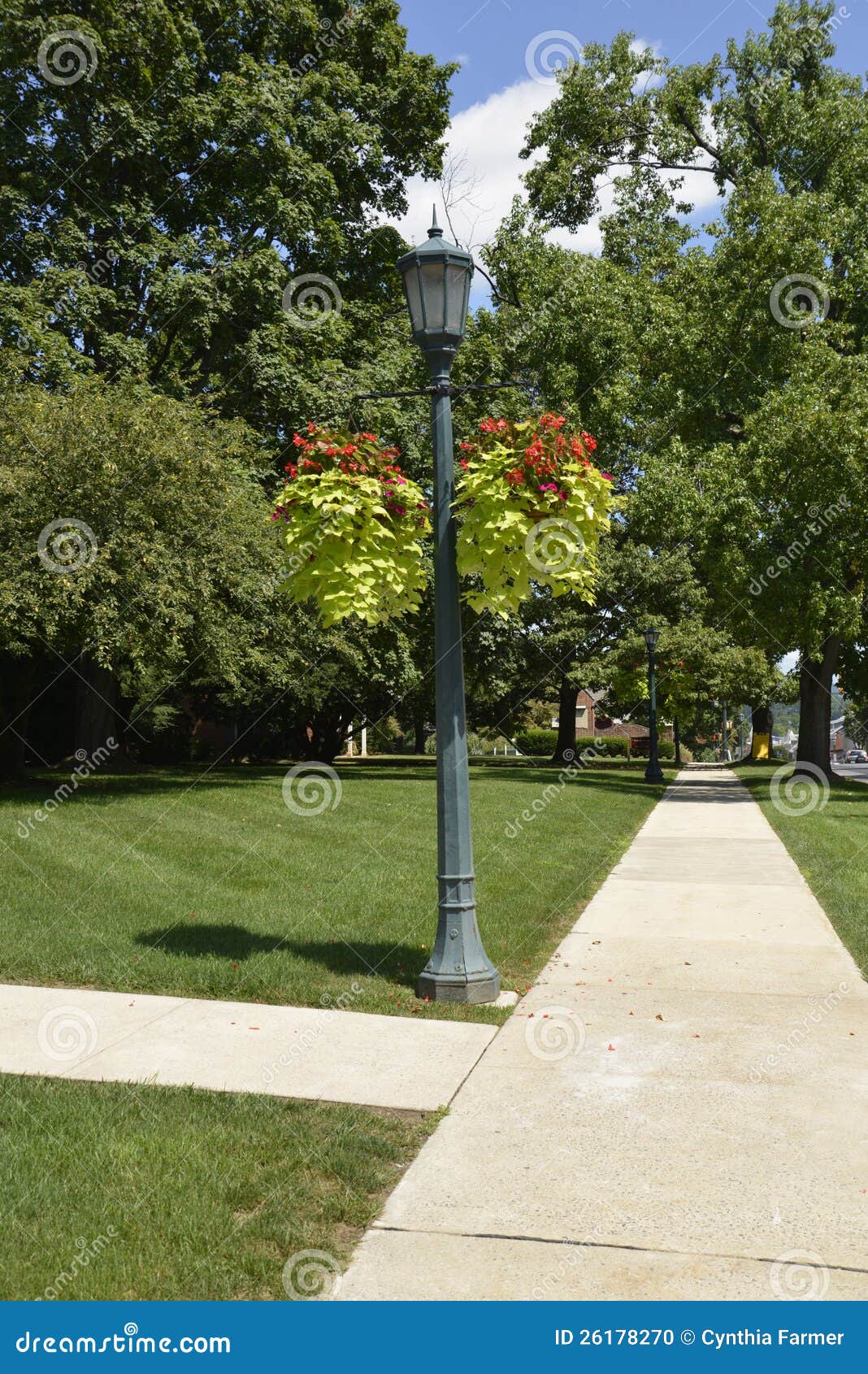 Lamppost with Two Hanging Baskets Stock Photo Image of trees, foliage