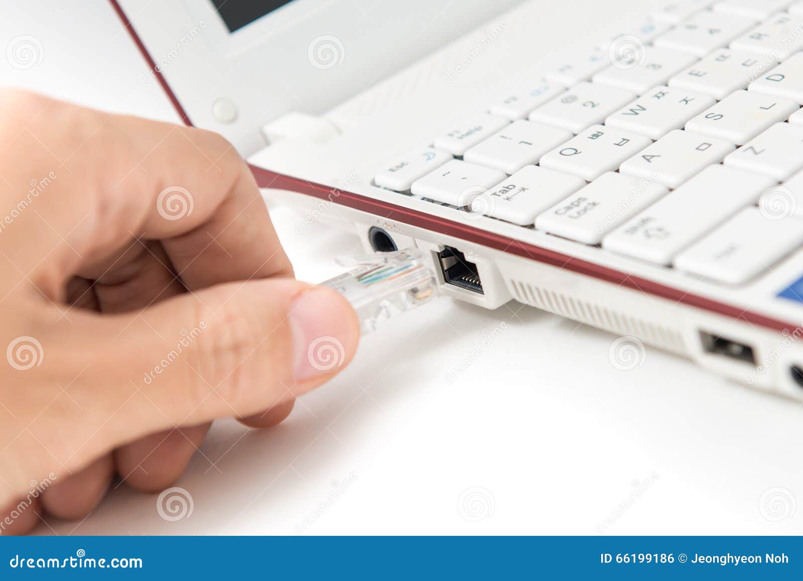 LAN Cable is Connecting To Laptop Stock Photo Image of hand, line 66199186