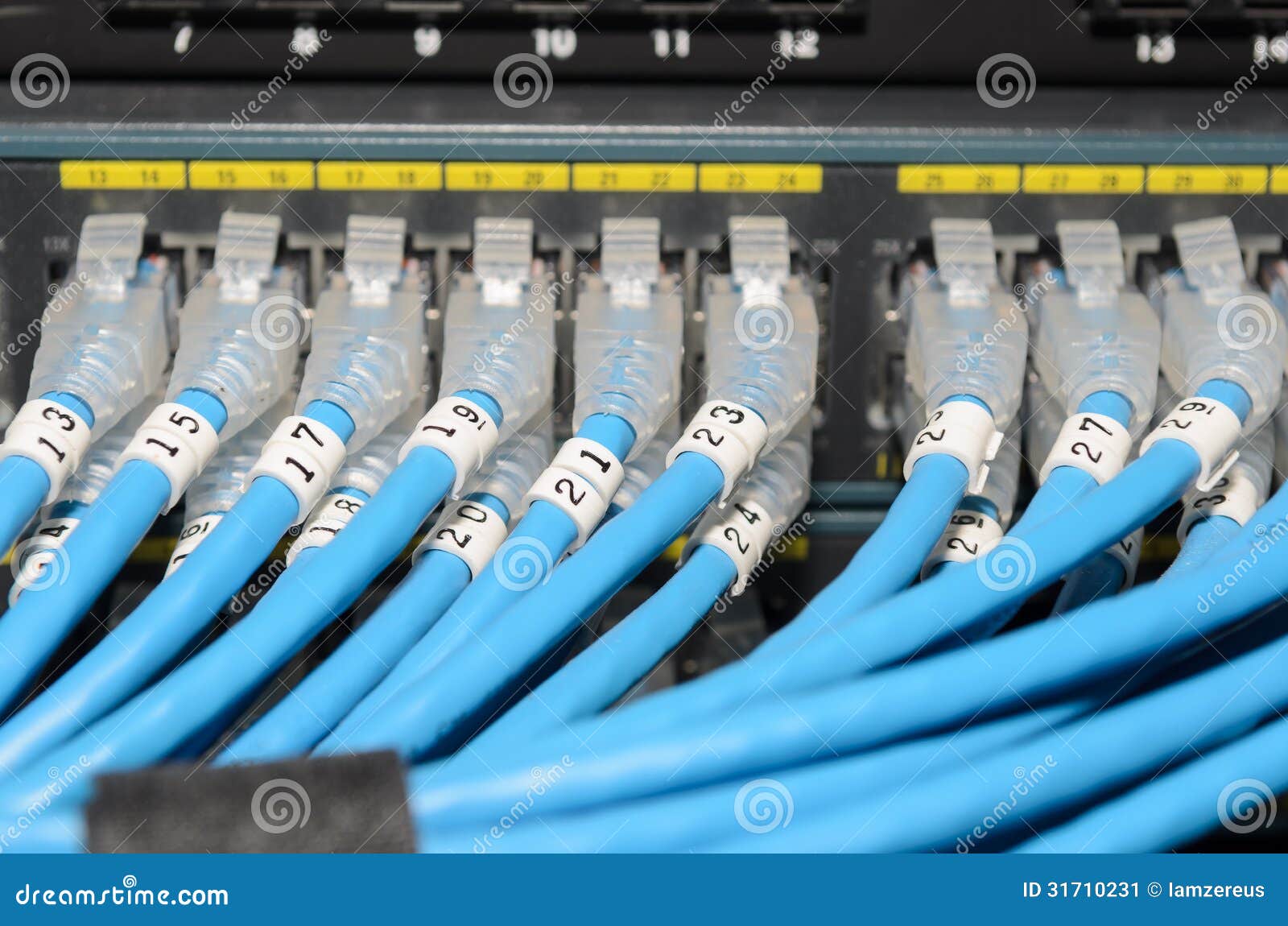 LAN Met Kabel Aangesloten Aan Schakelaar Stock Afbeelding Image of