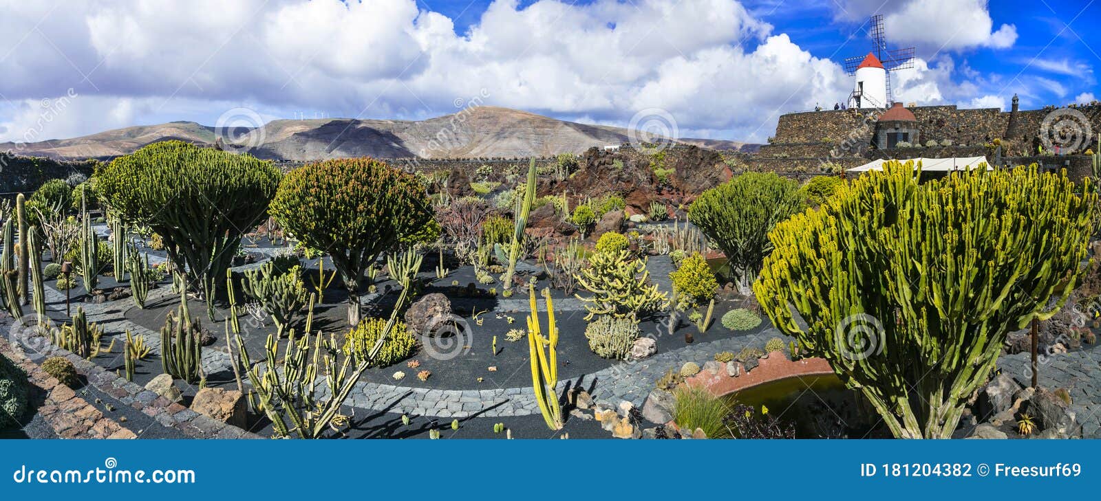 lanzarote island - botanical cactus garden, popular attraction in canary islands
