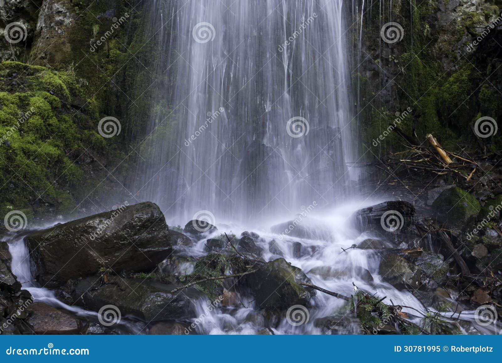 Lancasder Falls stock image. Image of oregon, moss, waterfall 30781995