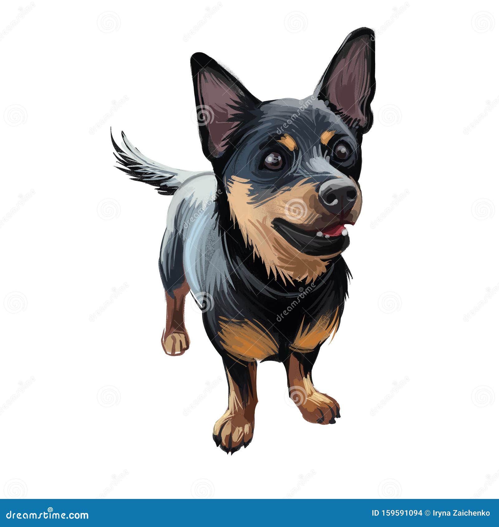 lancashire heeler ormskirk terrier puppy breed digital art. drover and cattle herder, domesticated animal mammal with long muzzle