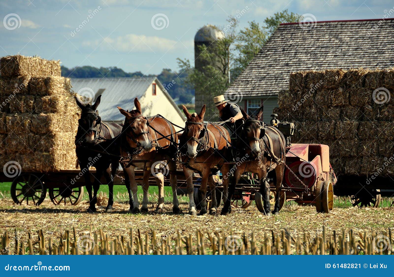 Lancaster, PA: Amish Farmer With Donkeys Editorial Photo - Image of