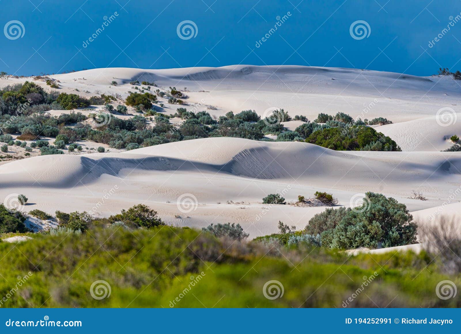 lancelin is australia`s premier sandboarding destination. pure white sand rises three storeys high and entry to the dunes is free