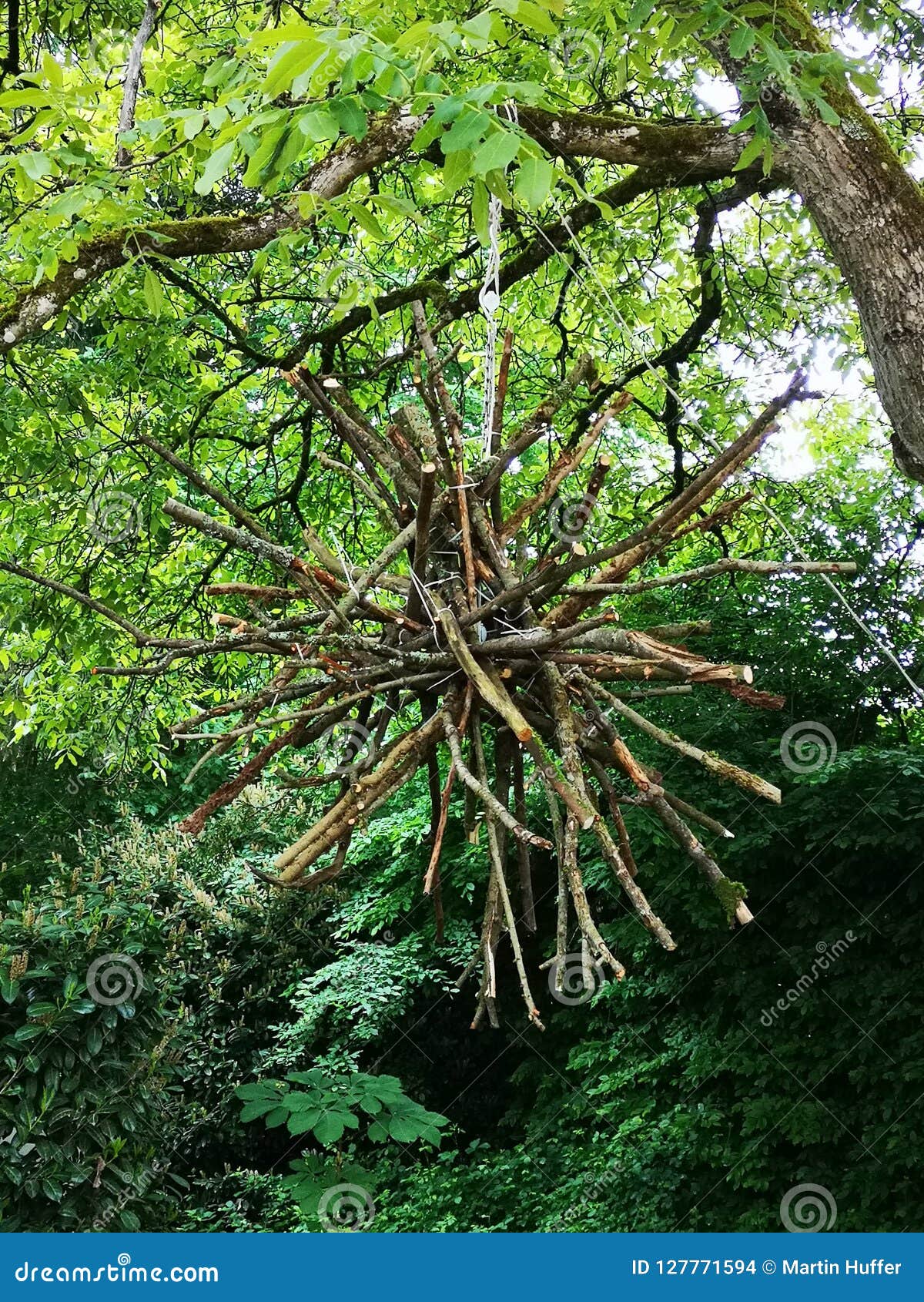 land art branches