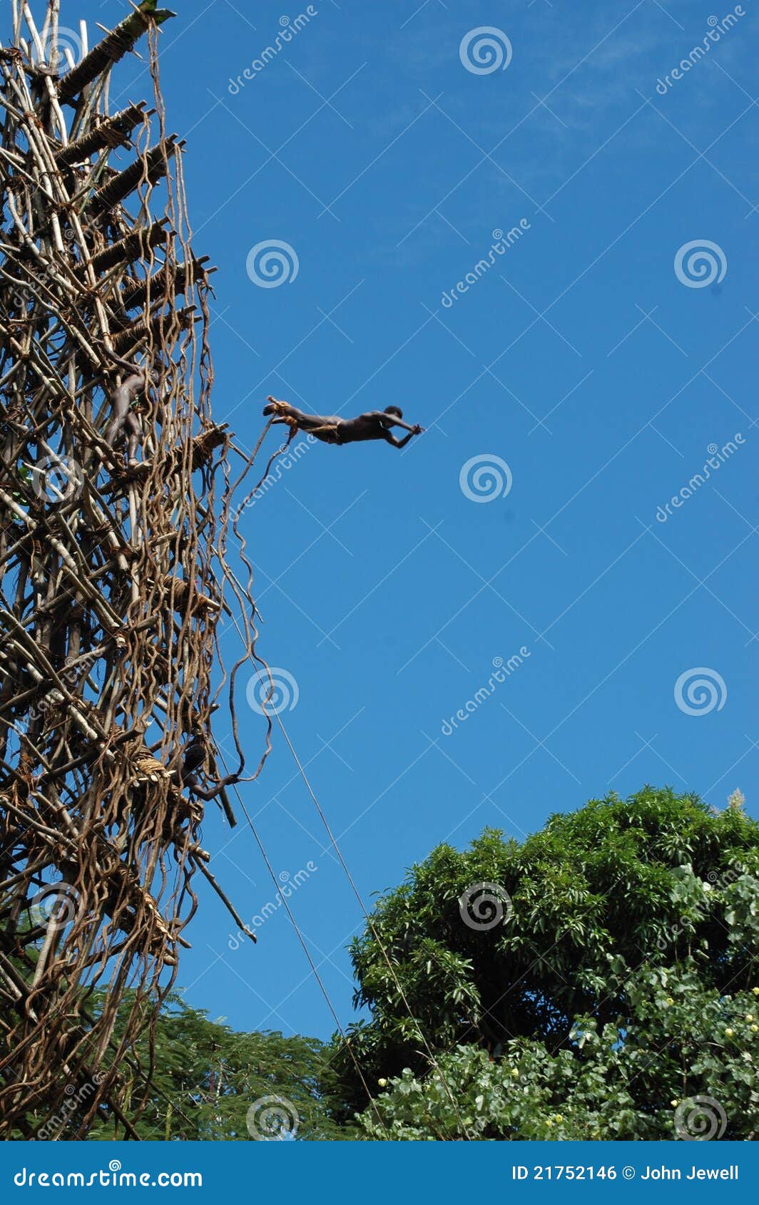 Land Diving. editorial photo. Image of eight, practice 21752146