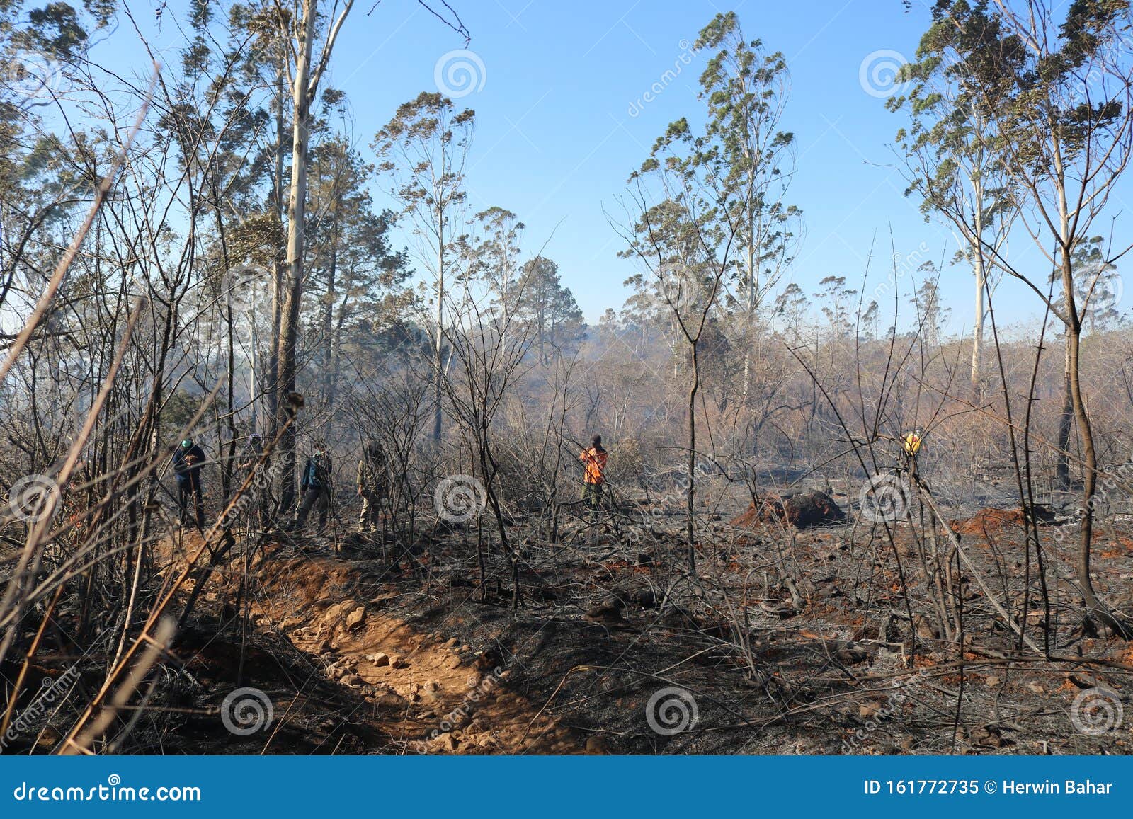 Forest Fires That Occurred On Mount Bawakaraeng South Sulawesi Indonesia Editorial Image Image Of Bawakaraeng Environment 161772735