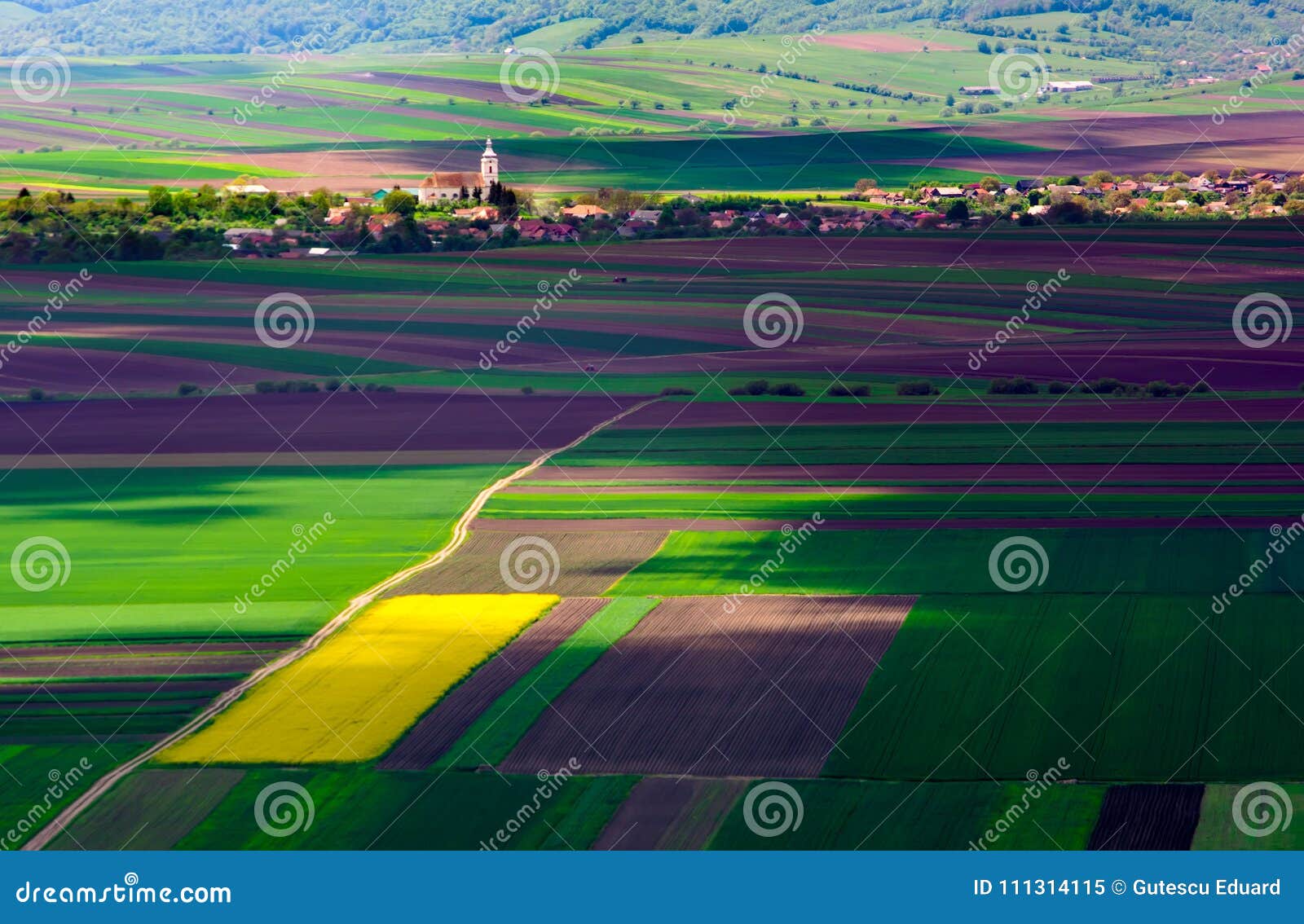 Landbouwgebieden op een de zomerdag met het dorp van Transsylvanië op de achtergrond