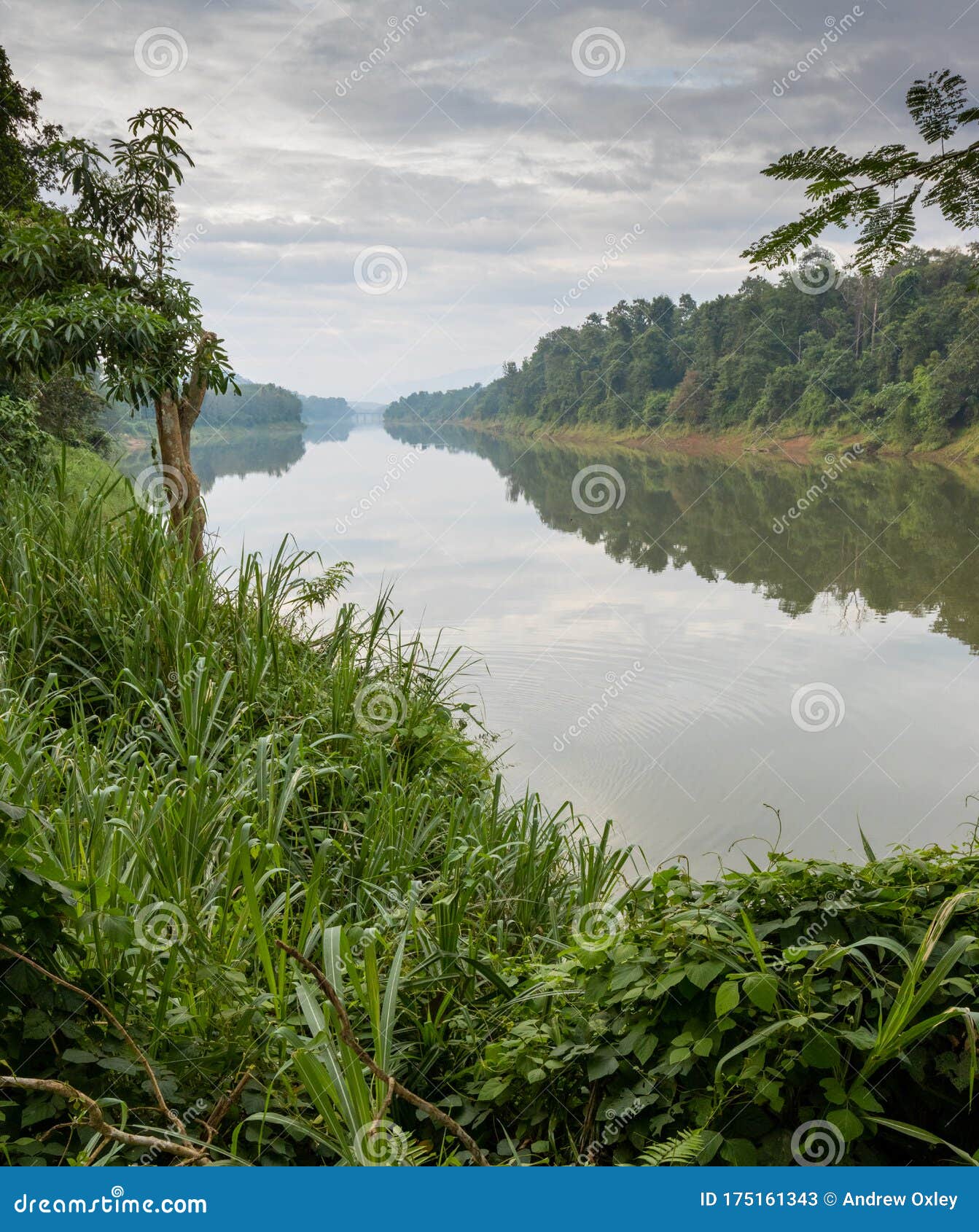 Landcape Image of the Periyar River in Kerala, India Stock Image - Image of  sunny, rural: 175161343