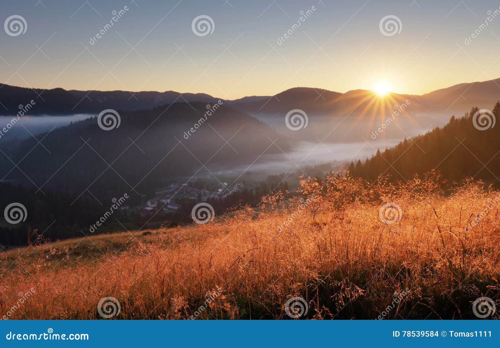 landcape with sun, meadow, forest and mountain