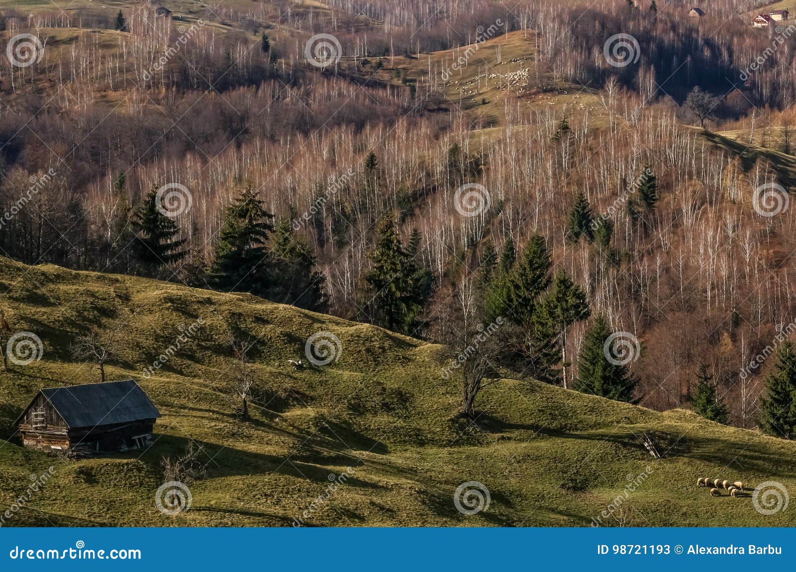 Landelijk schapenlandbouwbedrijf op bergen. Een geïsoleerd landbouwbedrijfhuis met schapen op een weiland op een landelijk landschap