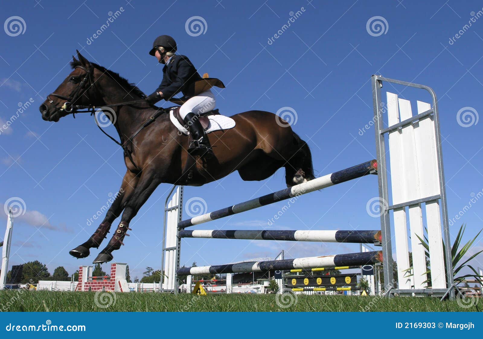 Landing Gear Down stock image. Image of hurdle, jumping 2169303