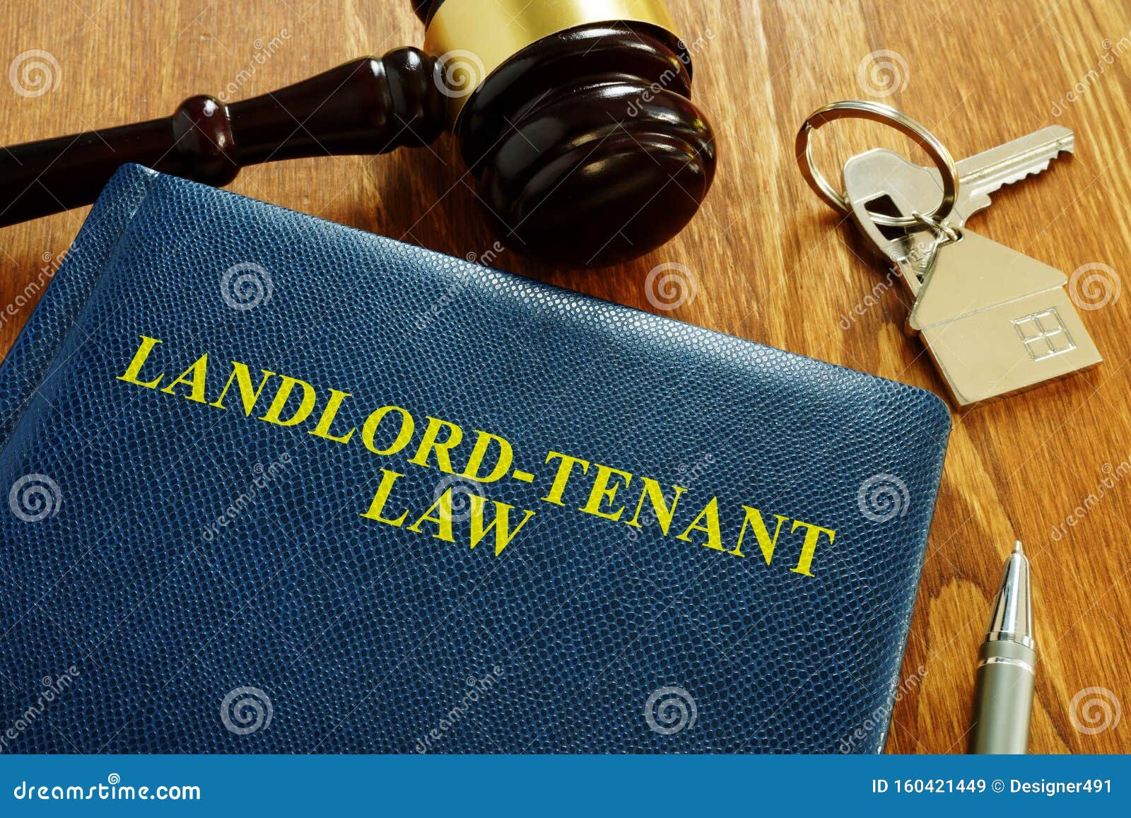 landlord tenant law book and key