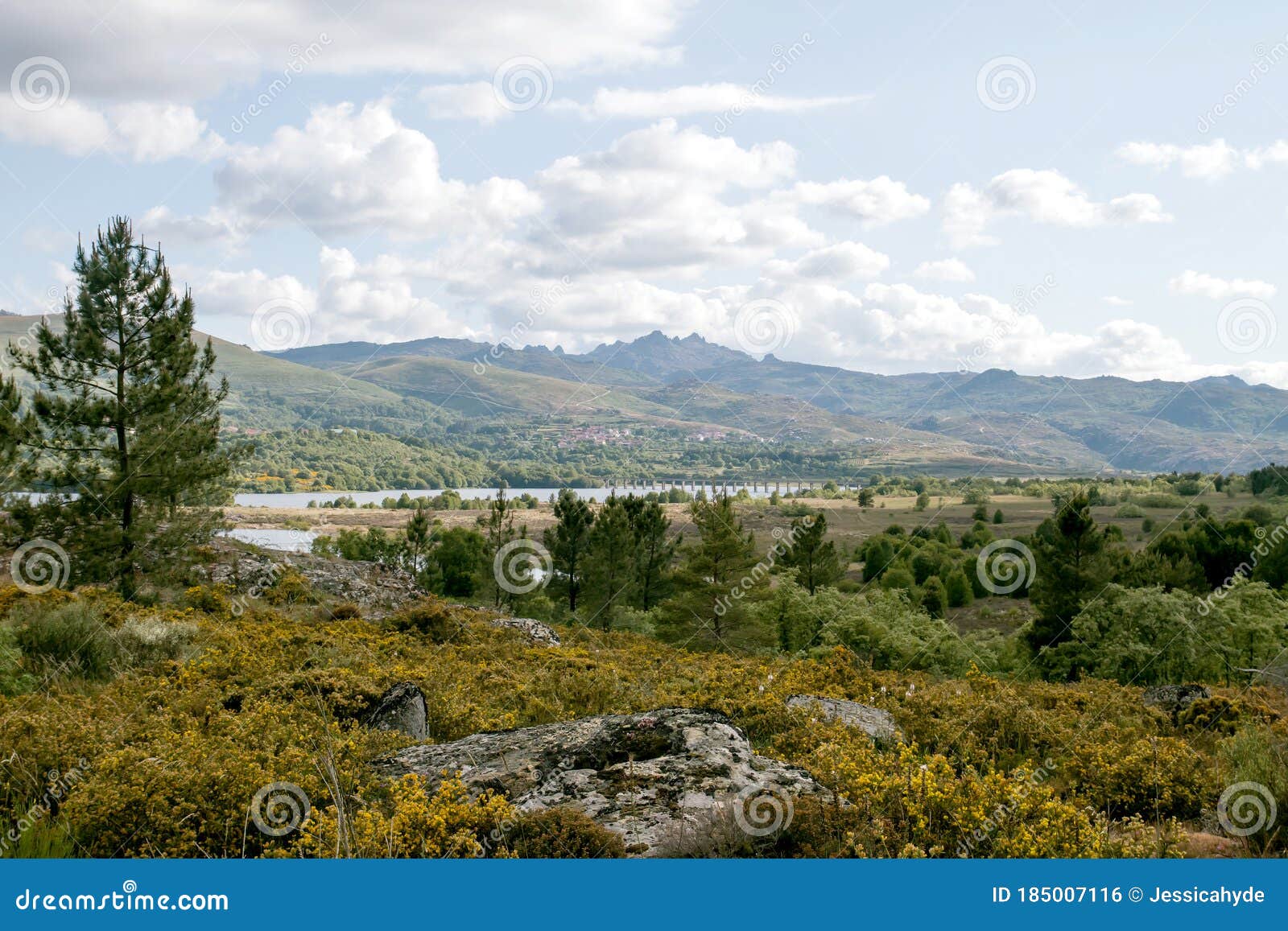 landsacape in galicia, spain