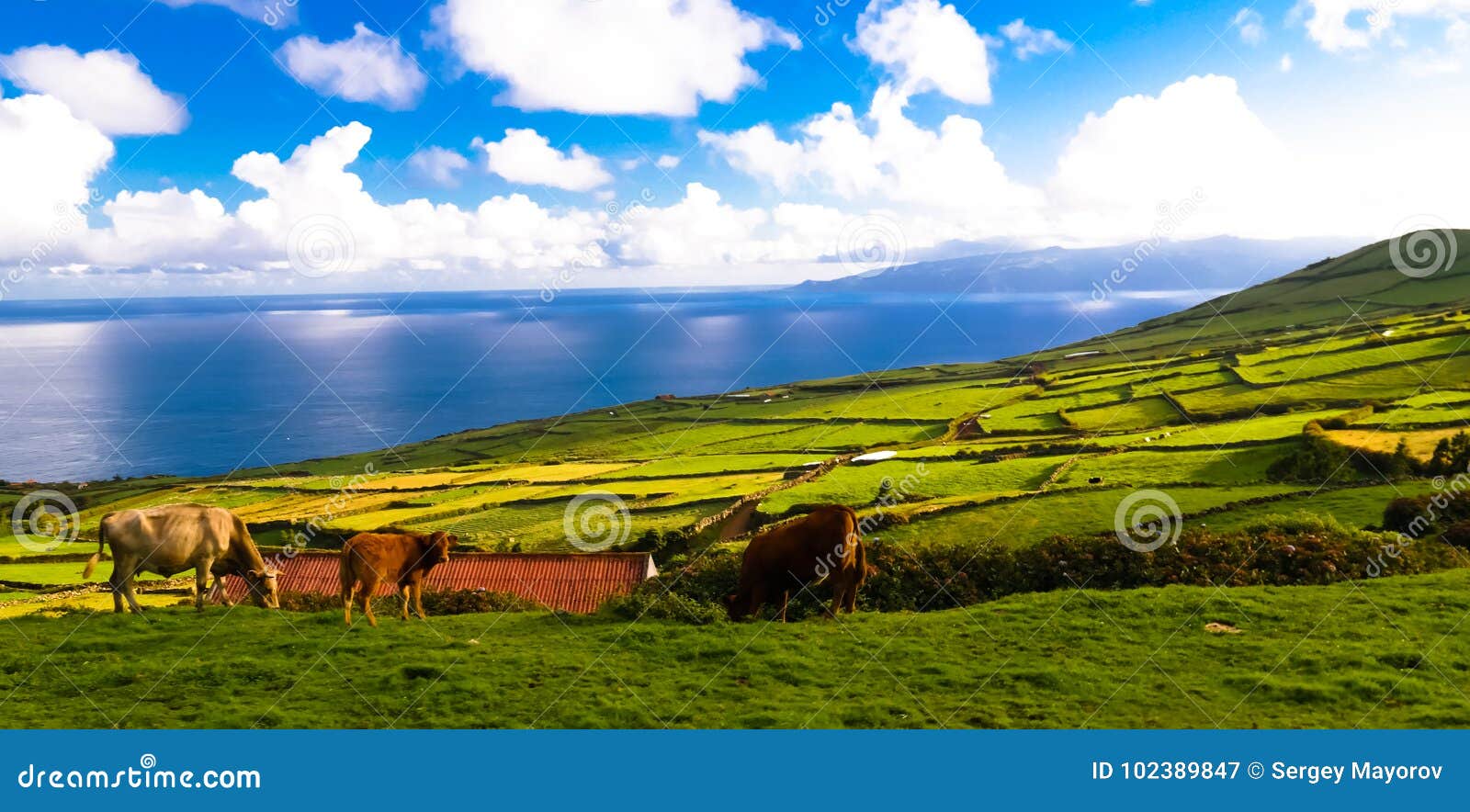 landscape with agriculture fields at corvo island, azores, portugal