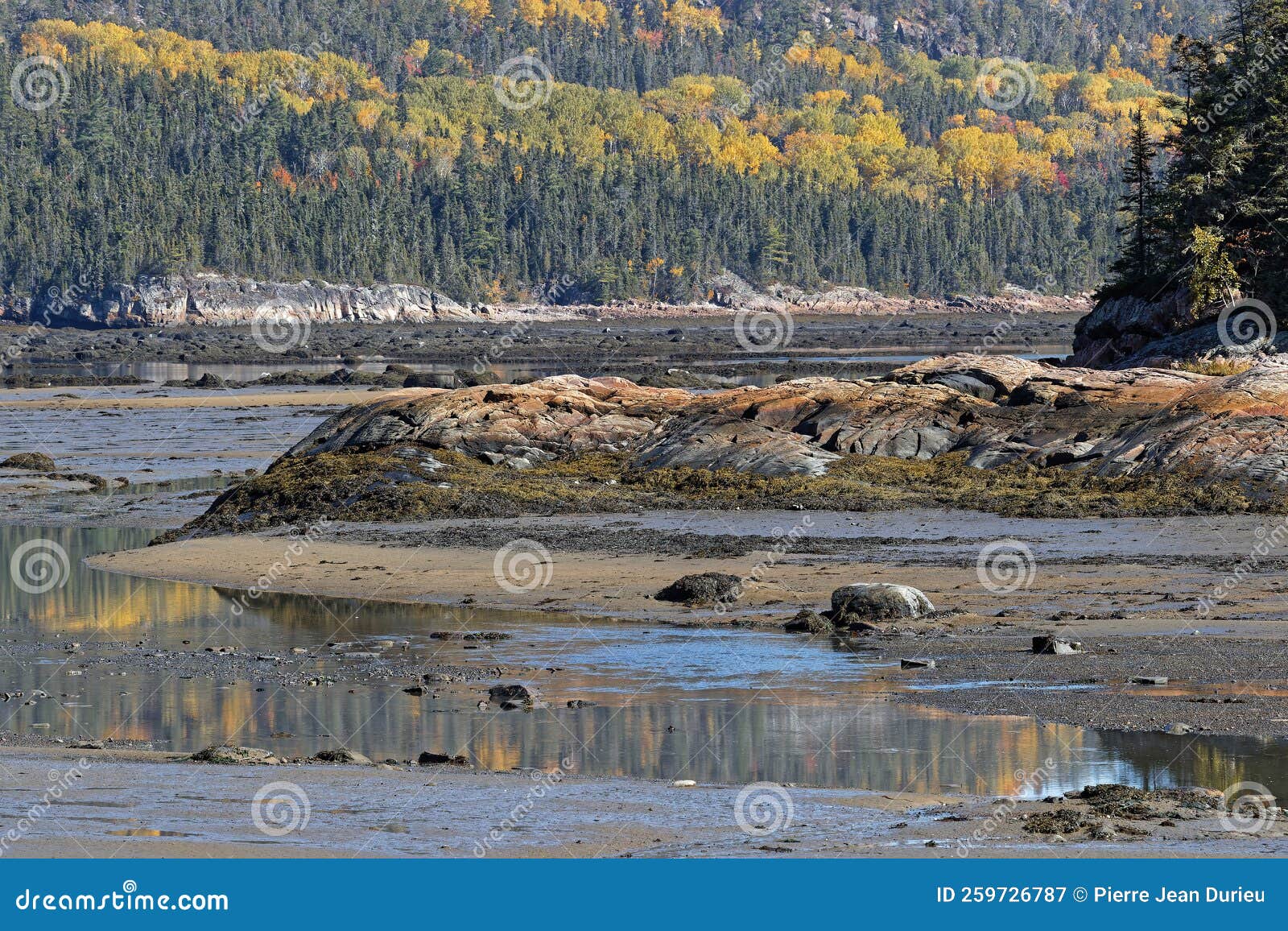 AnseAuxRochers at Low Tide Landscape Stock Image Image of touristic
