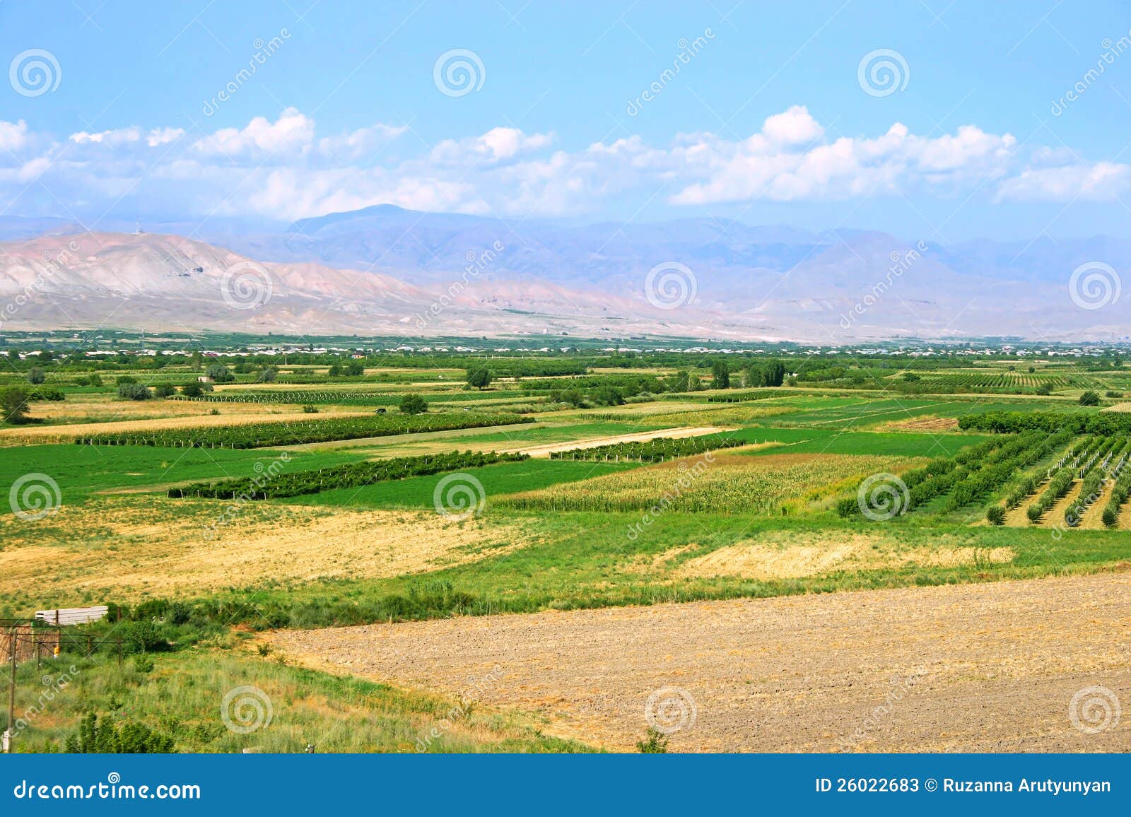 Landscape in Armenia stock image. Image of vinery, journey 26022683