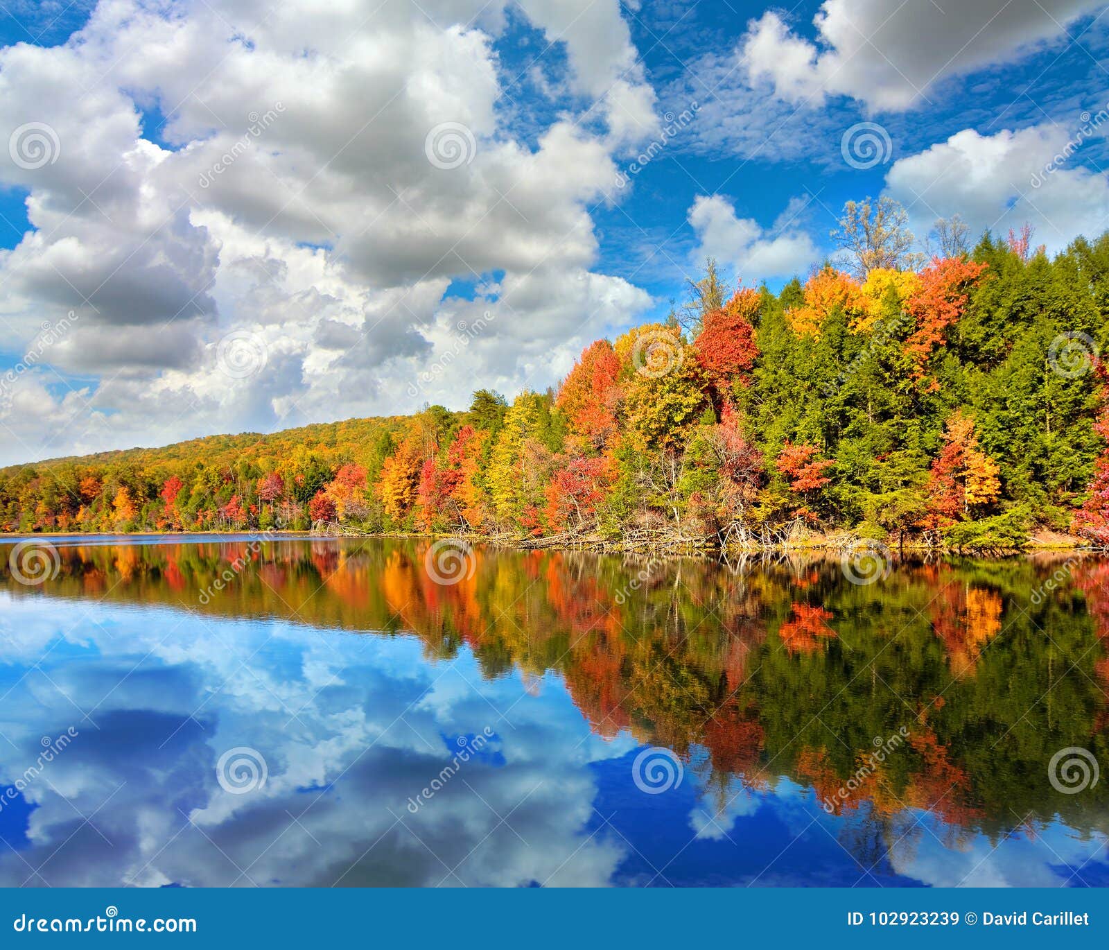 Landscape Of Autumn Colored Trees With Reflection In Bays Mountain Lake