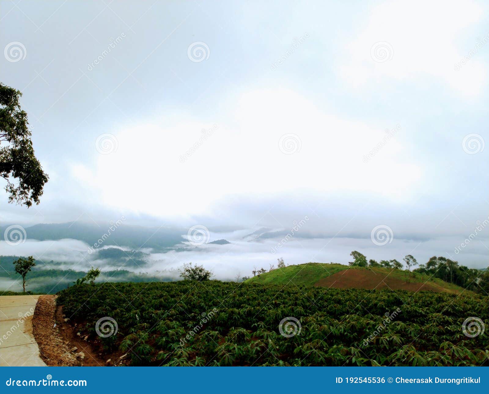 beautiful images of mist on the mountain